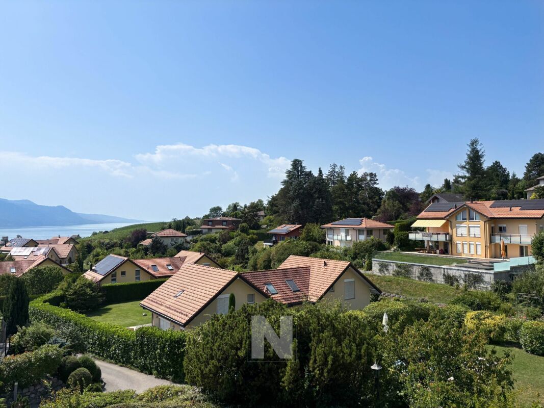 Immagine di copertina 2