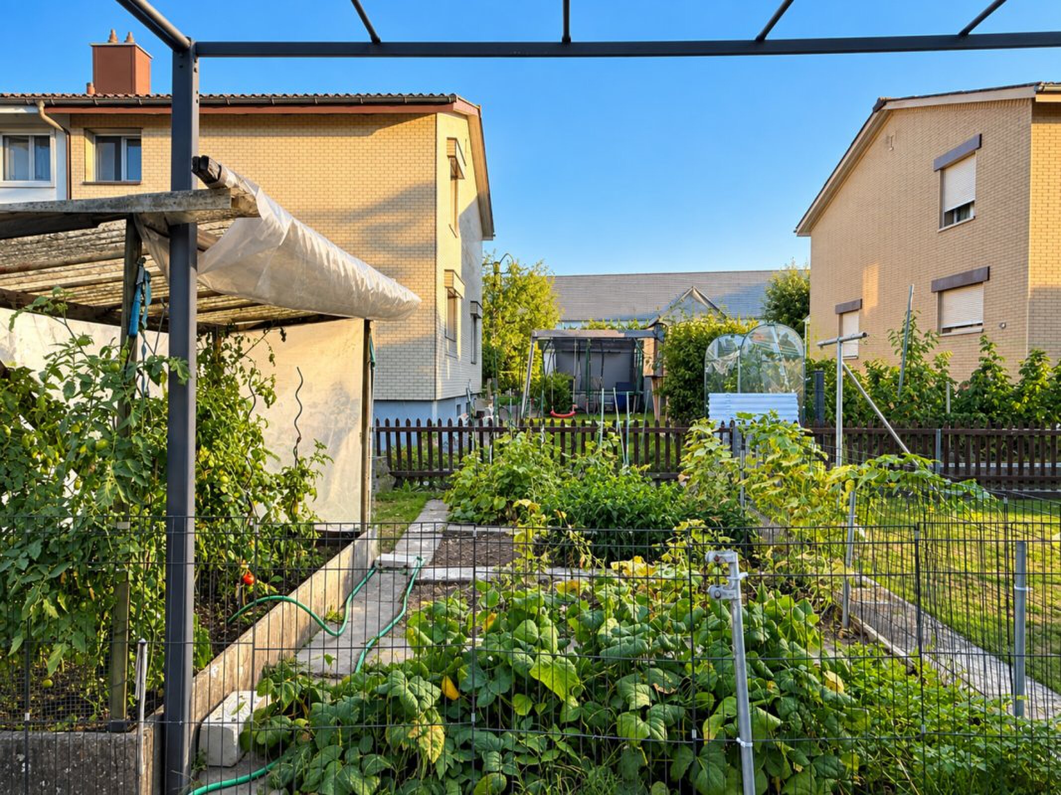 Picture 4