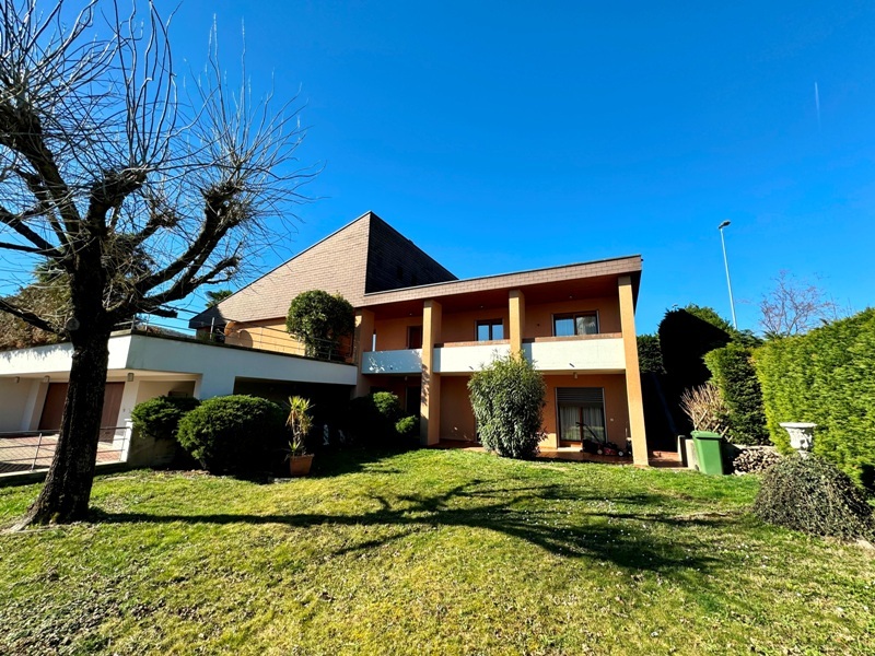 Immagine di copertina