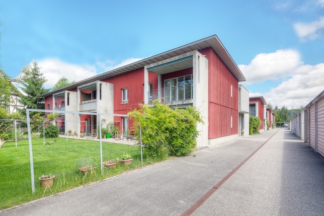 Immagine di copertina