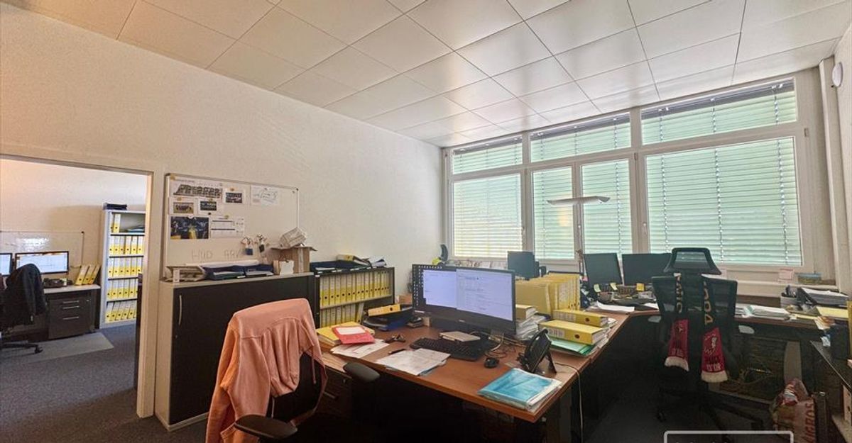 Foto 7