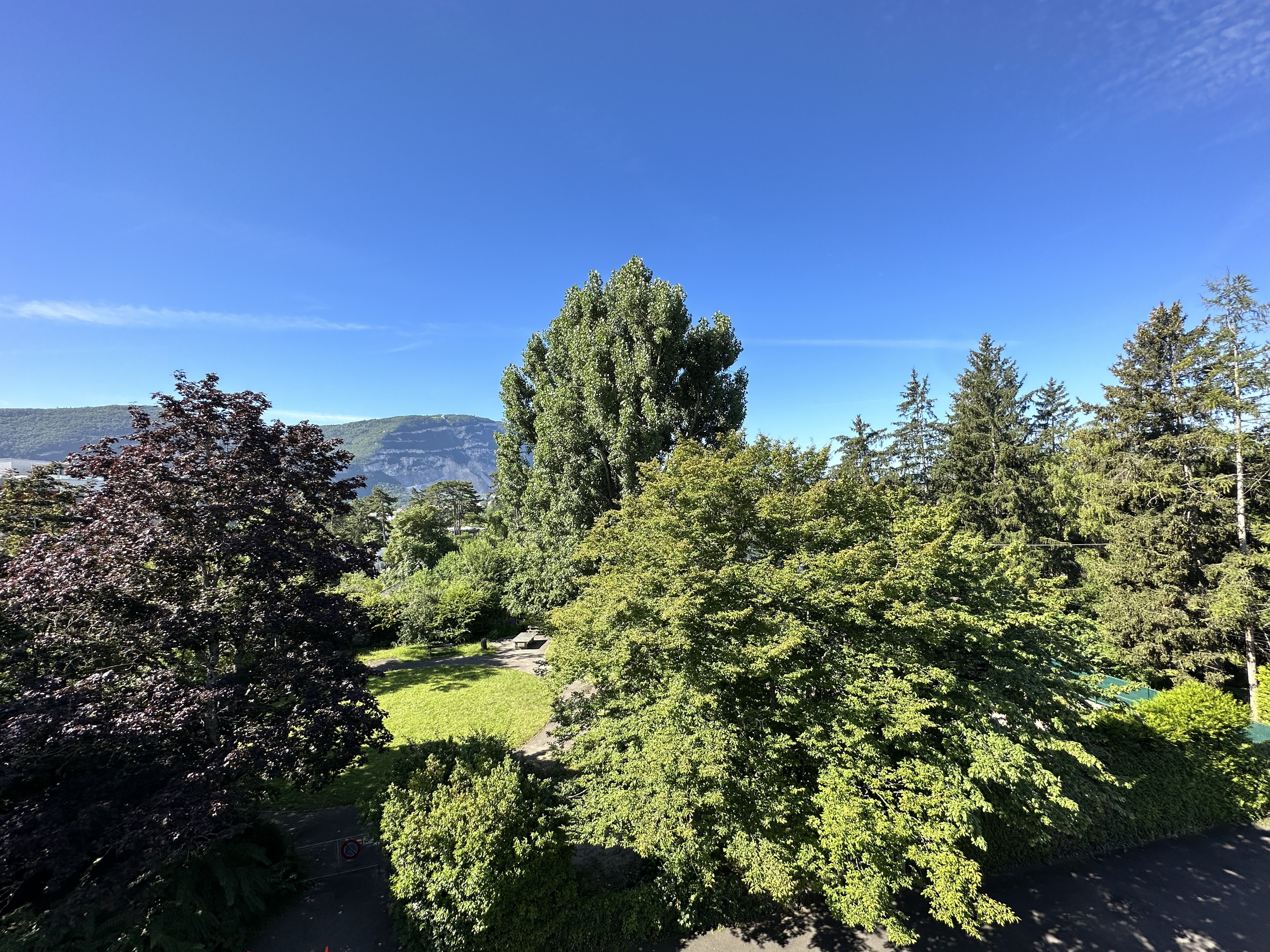 Firstview