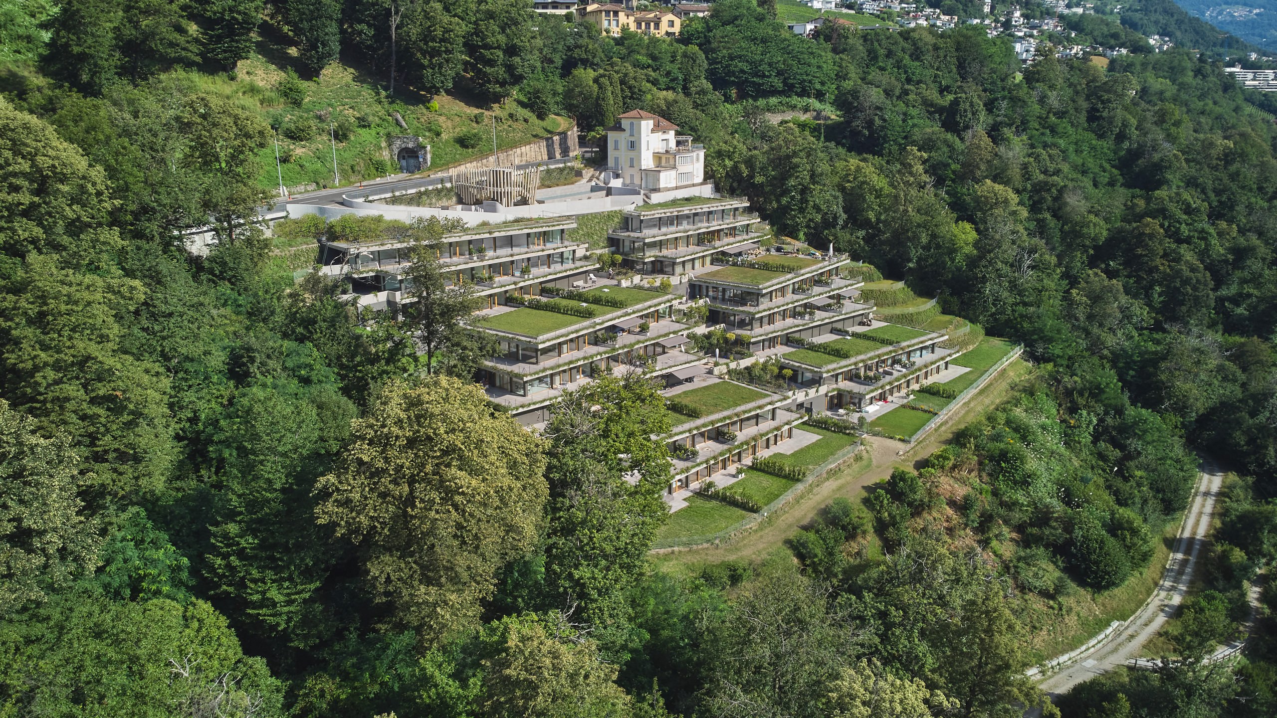 Immagine di copertina