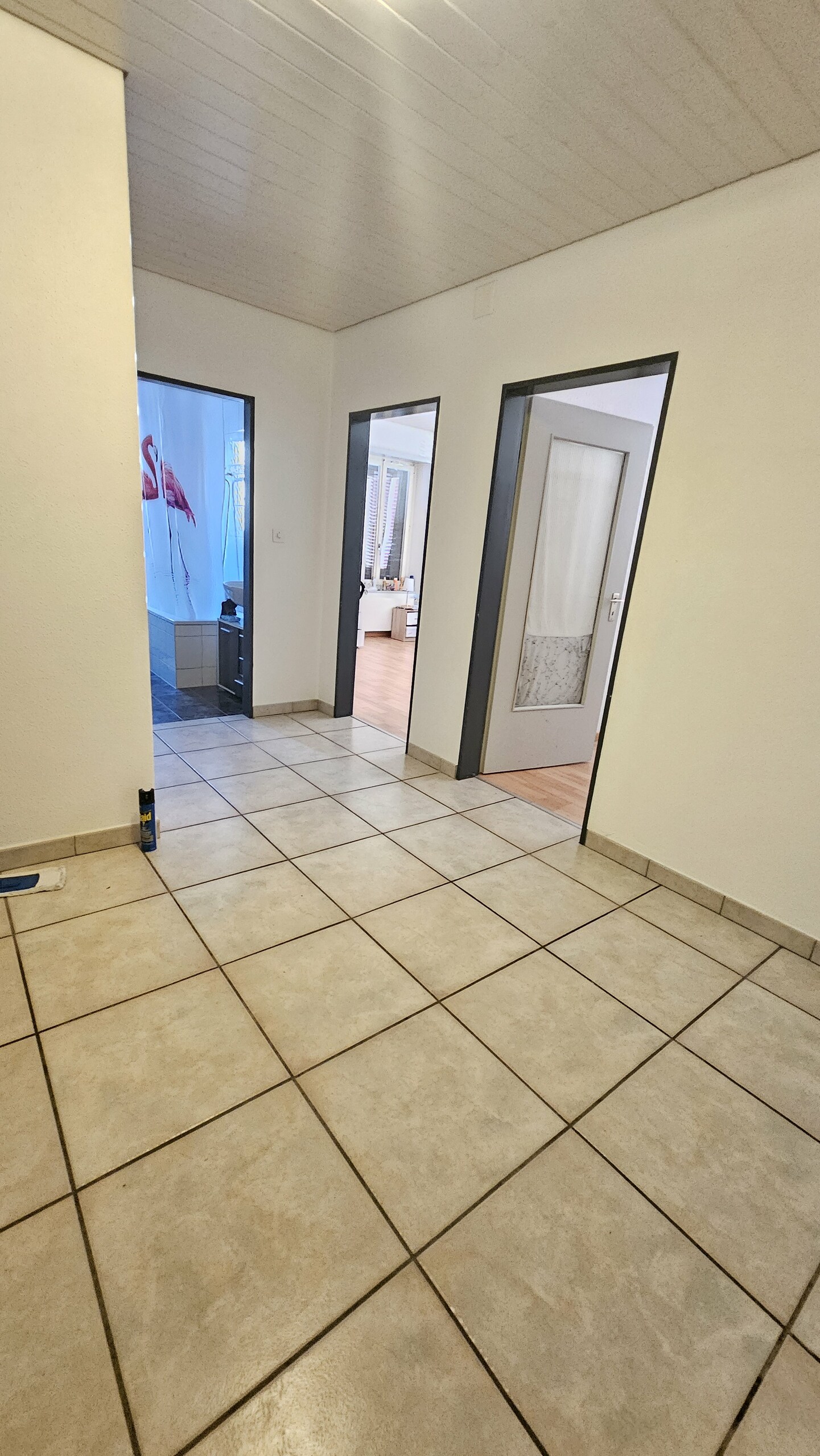 Appartement de 4.5 pièces