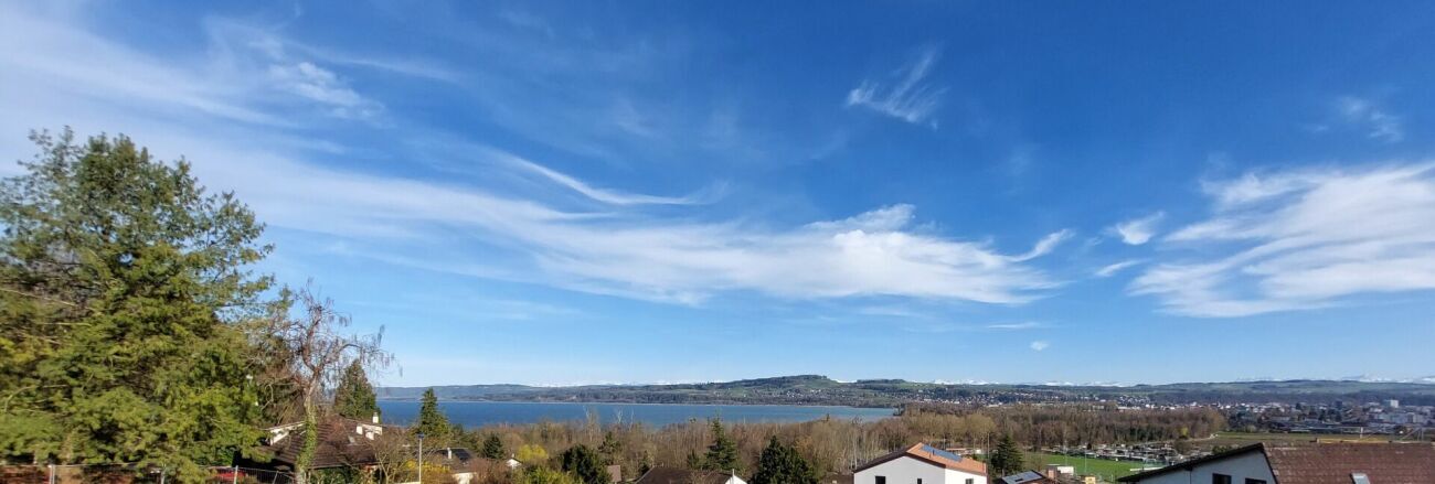 Immagine di copertina 2