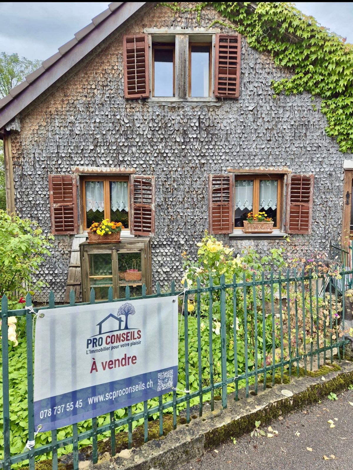 Foto 2