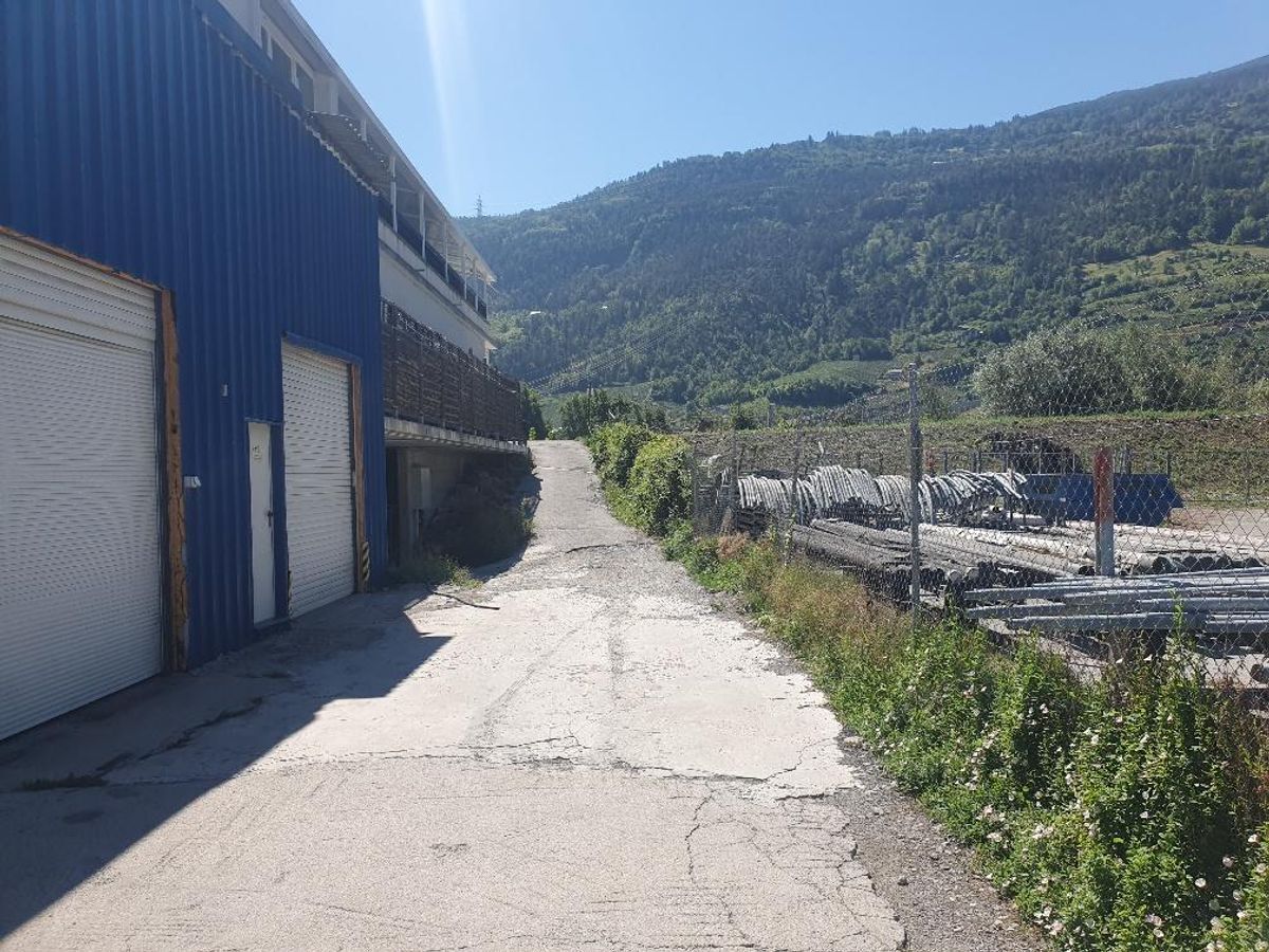 Immagine di copertina