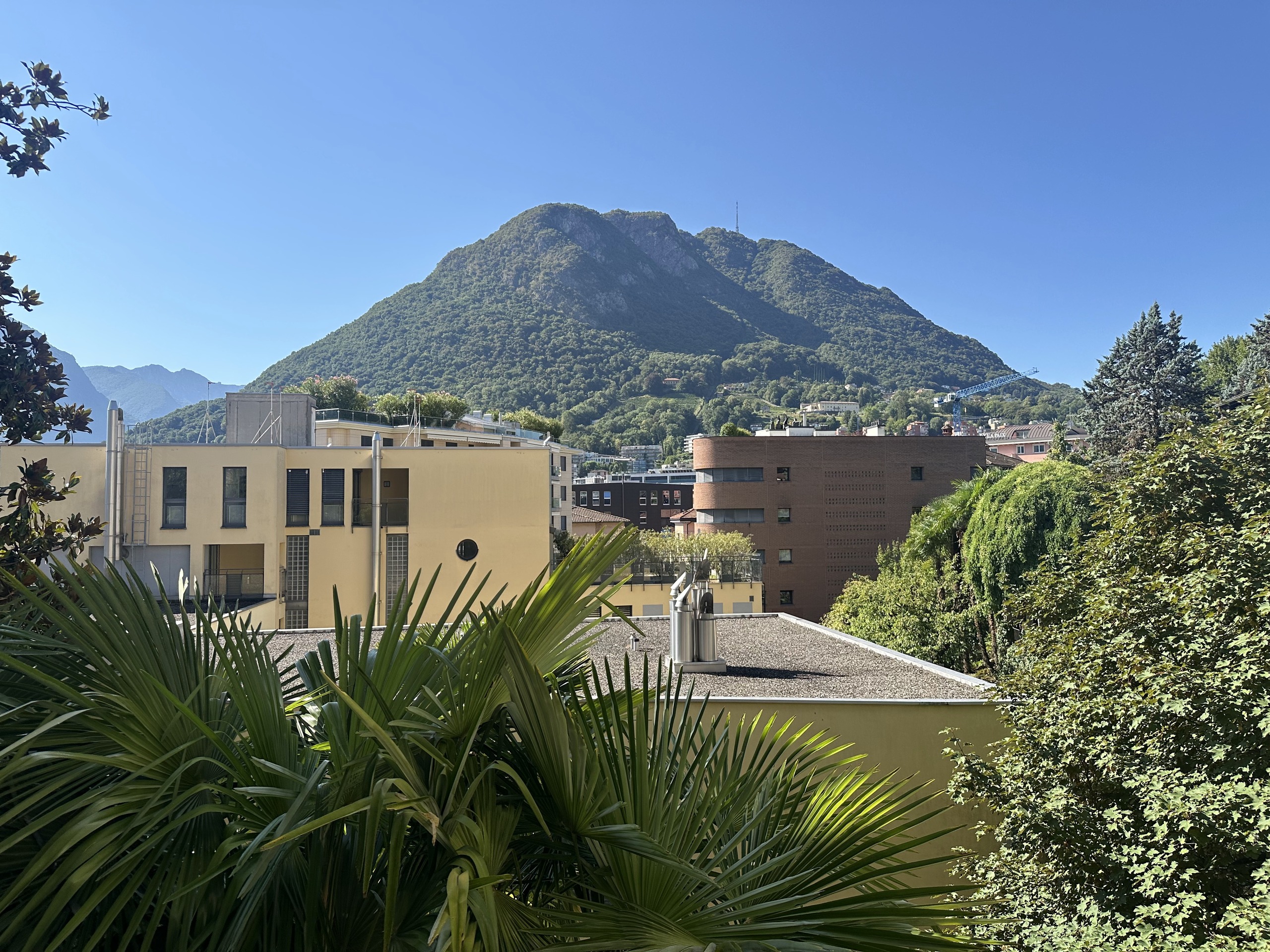 vista dall'appartamento