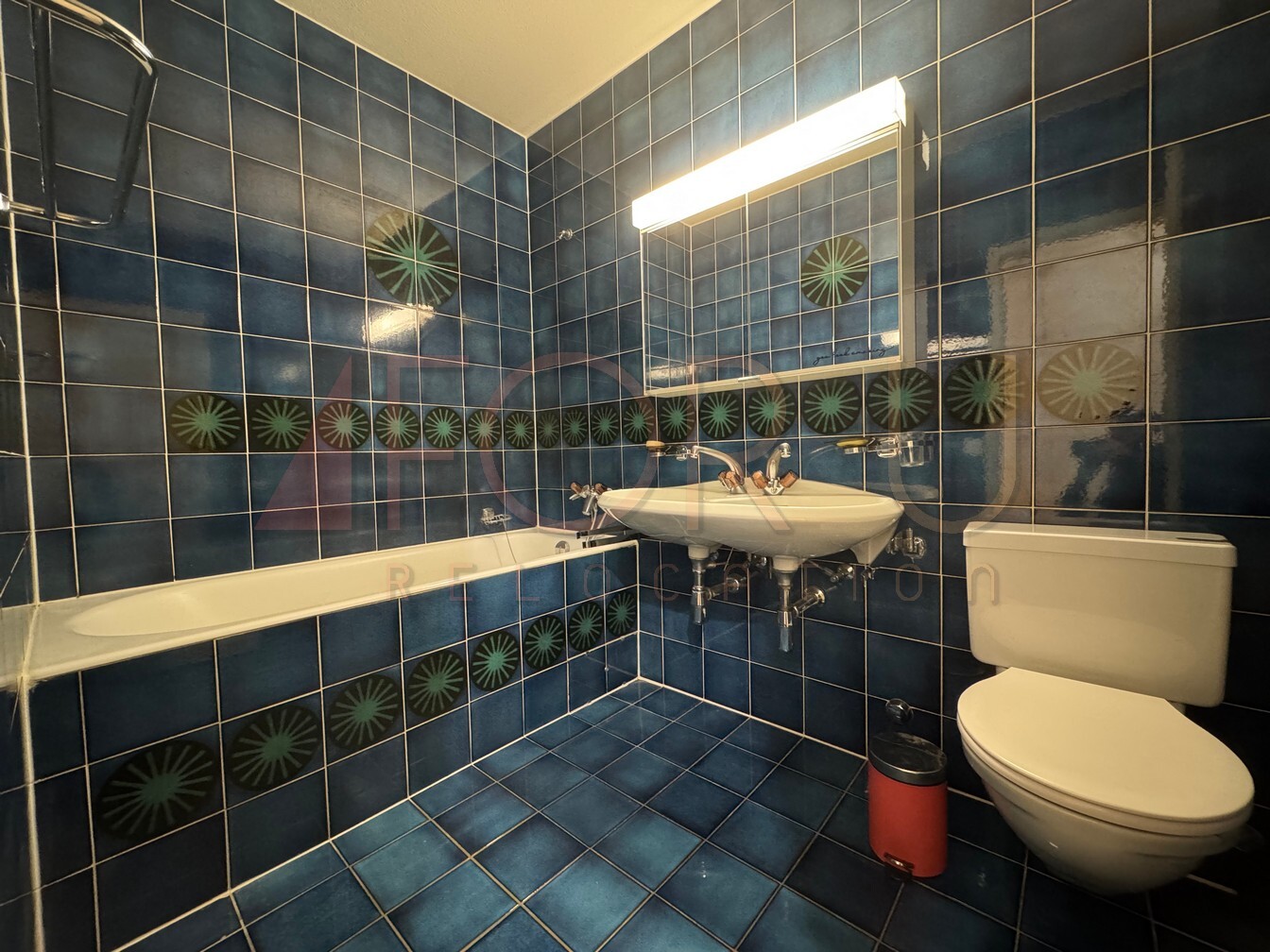 Salle de bain + WC 1