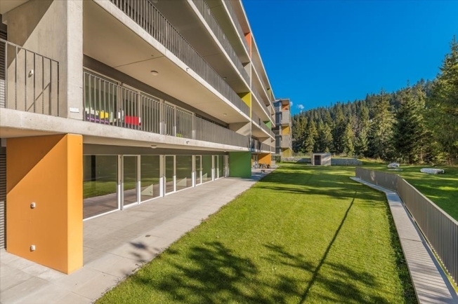 Immagine di copertina