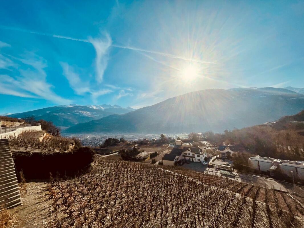 Immagine di copertina 4