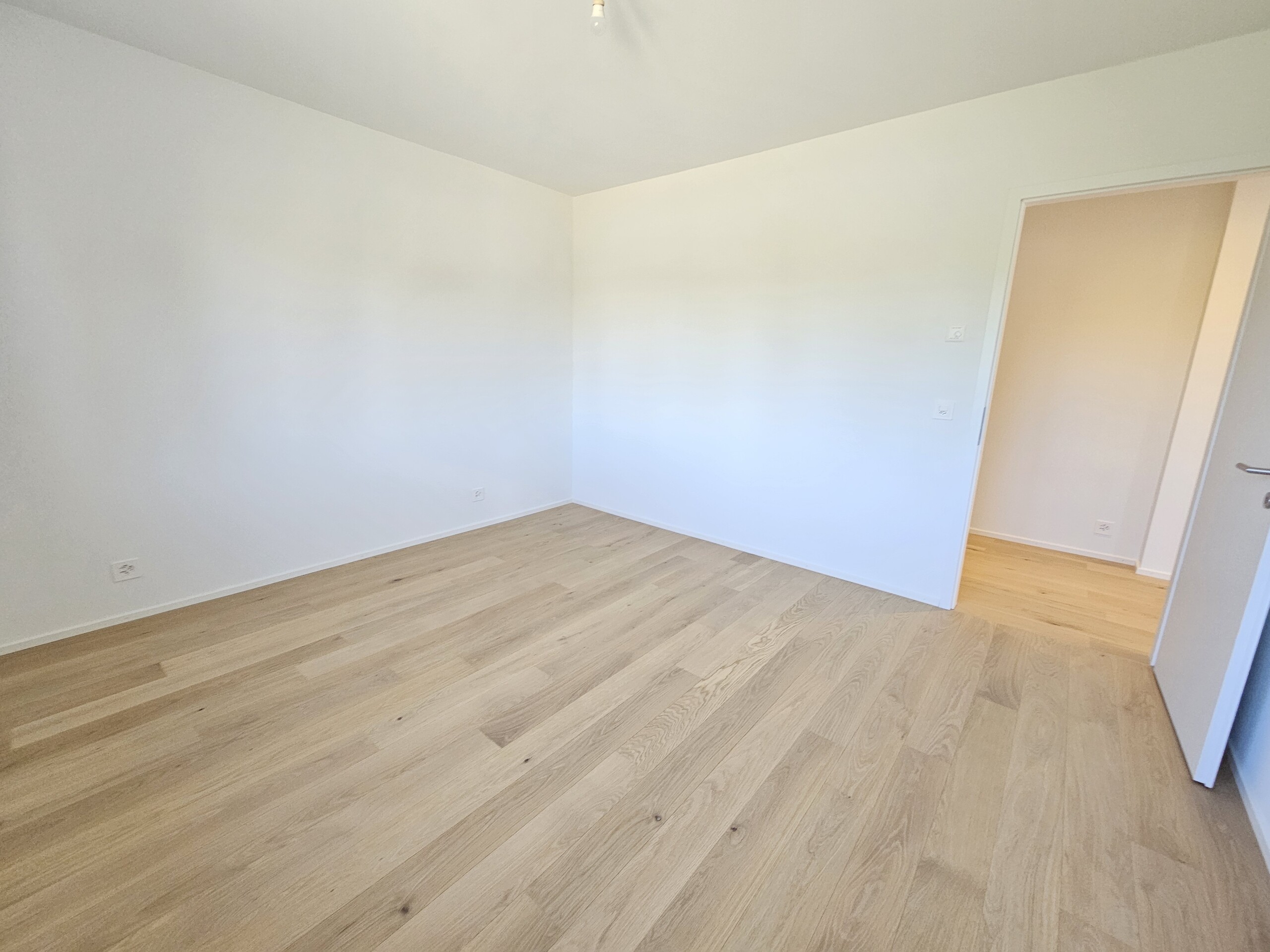 Interior view 5