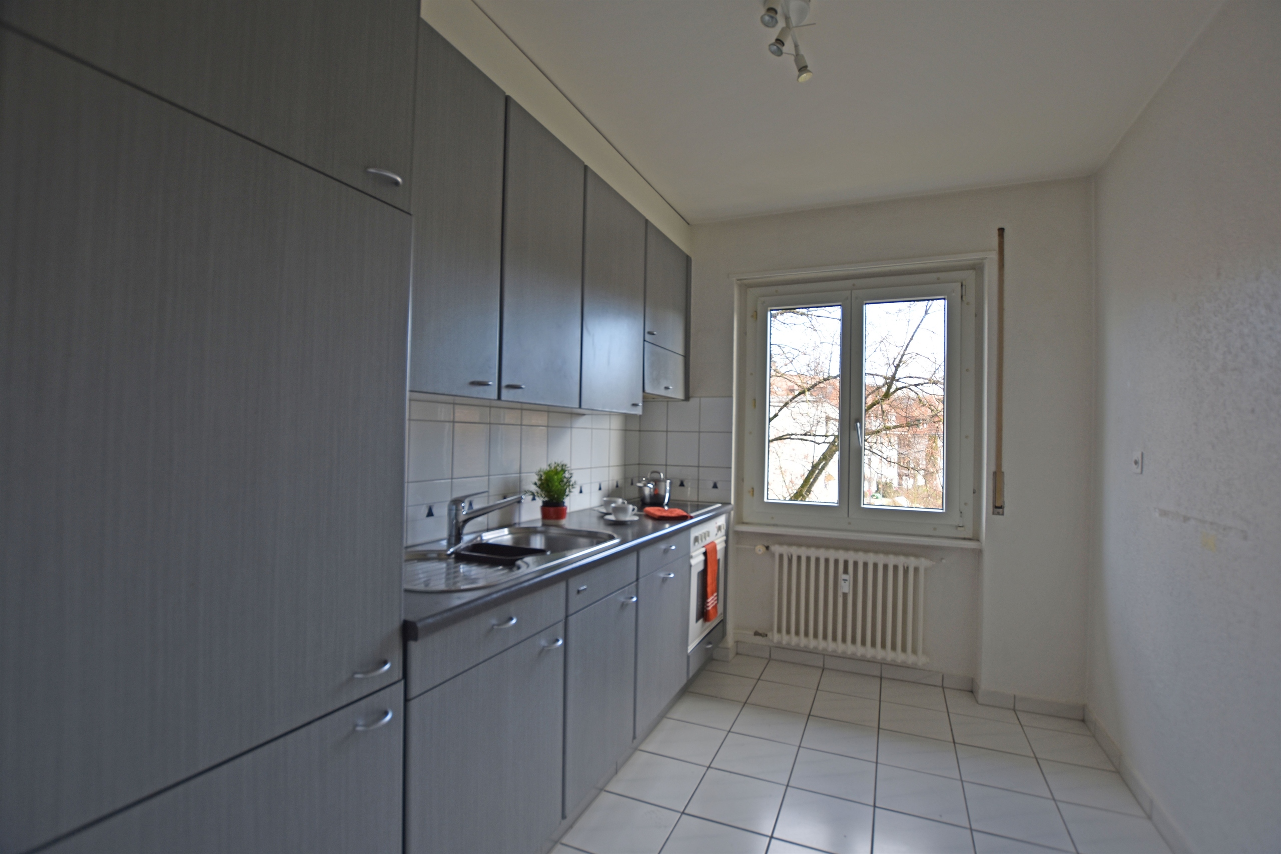 Picture 7
