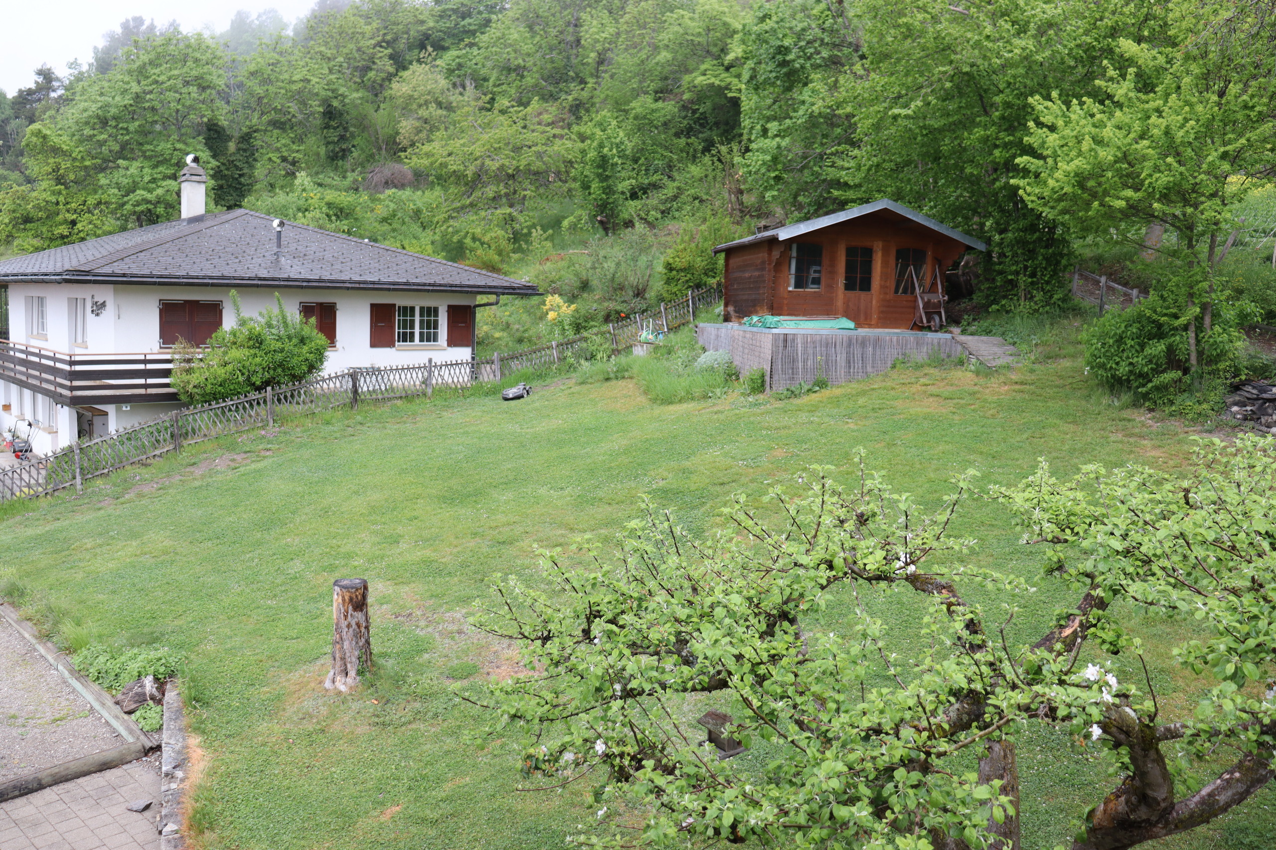 Photo 19