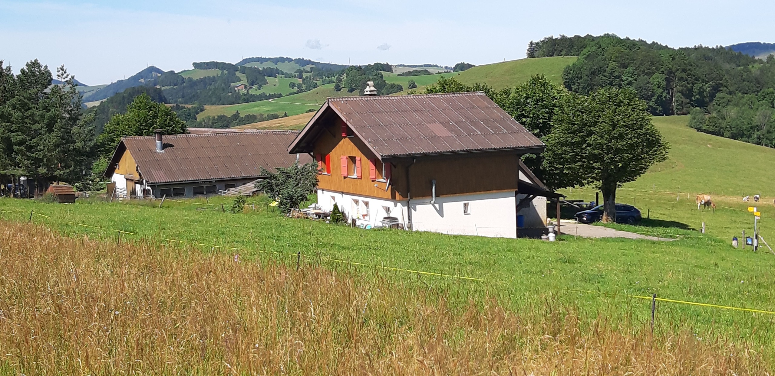 Wohnhaus 