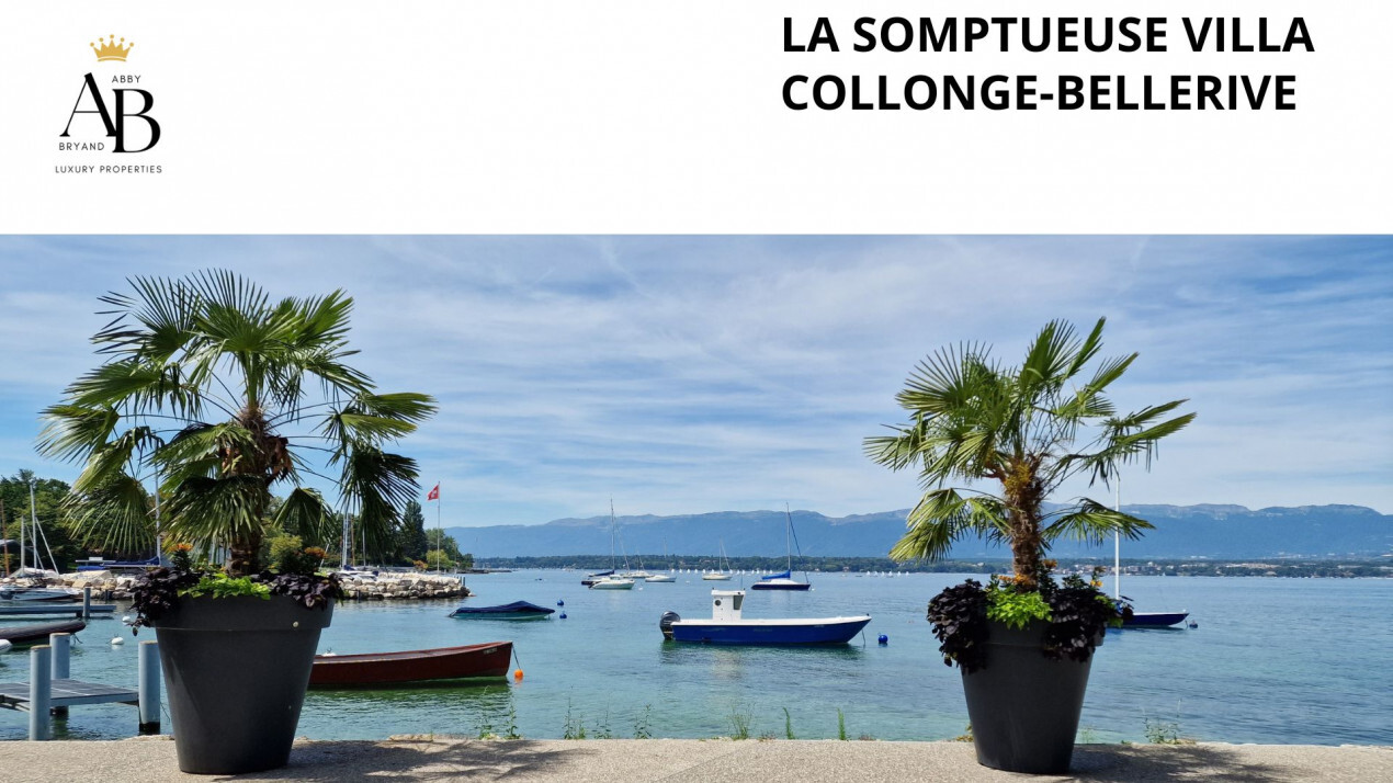 Premier coup d'oeil