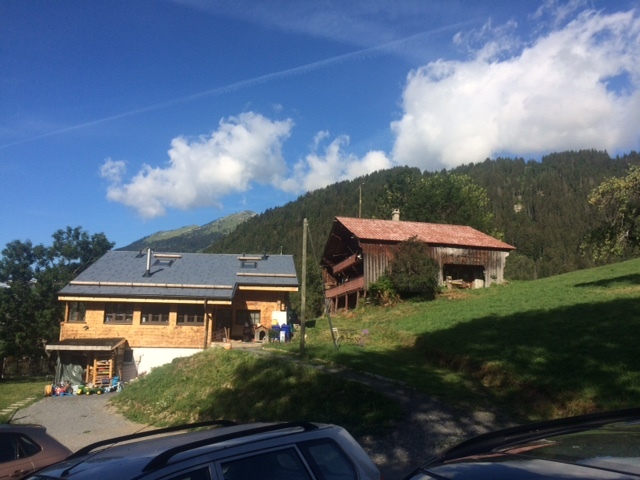 Photo 6