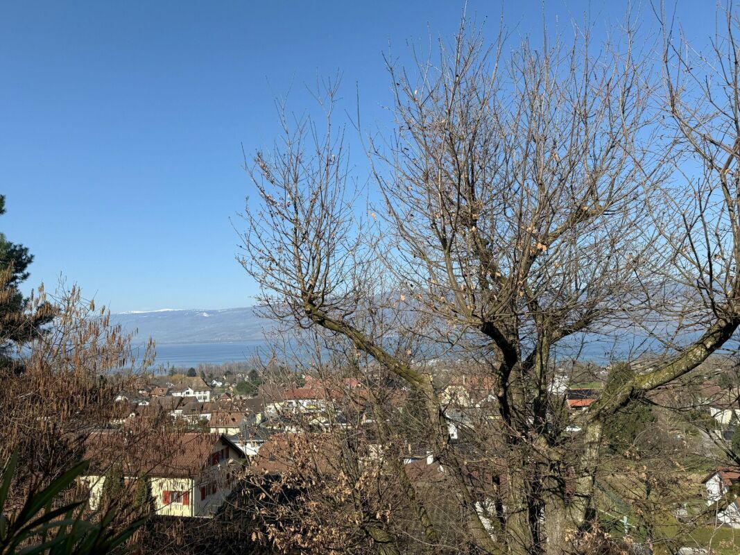 Foto 34