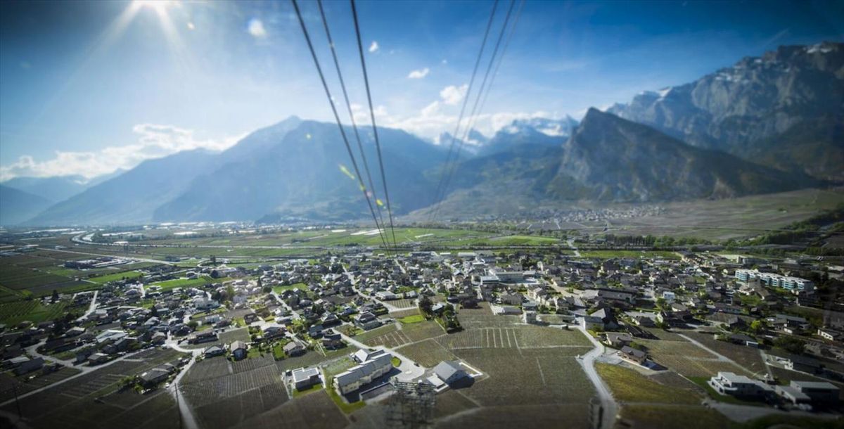 Immagine di copertina