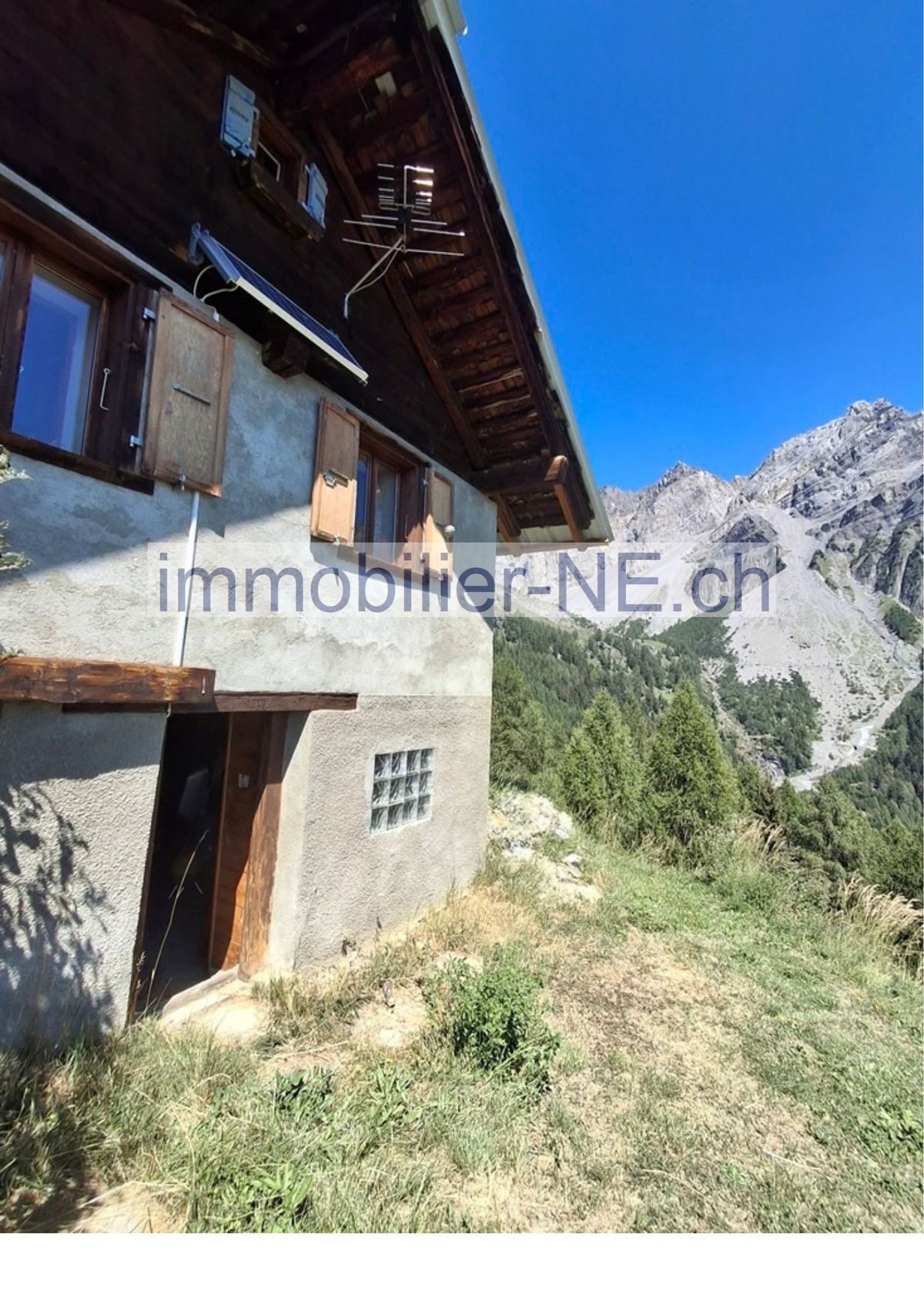 Immagine di copertina