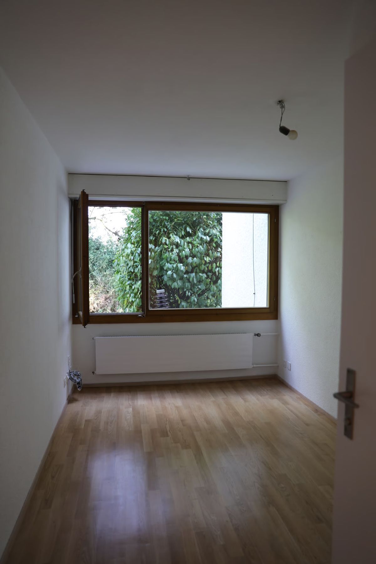 Picture 9