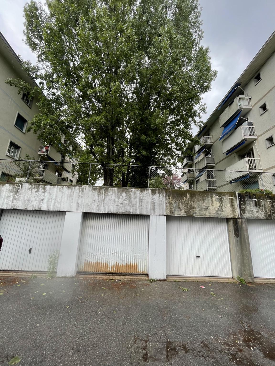 Immagine di copertina 1