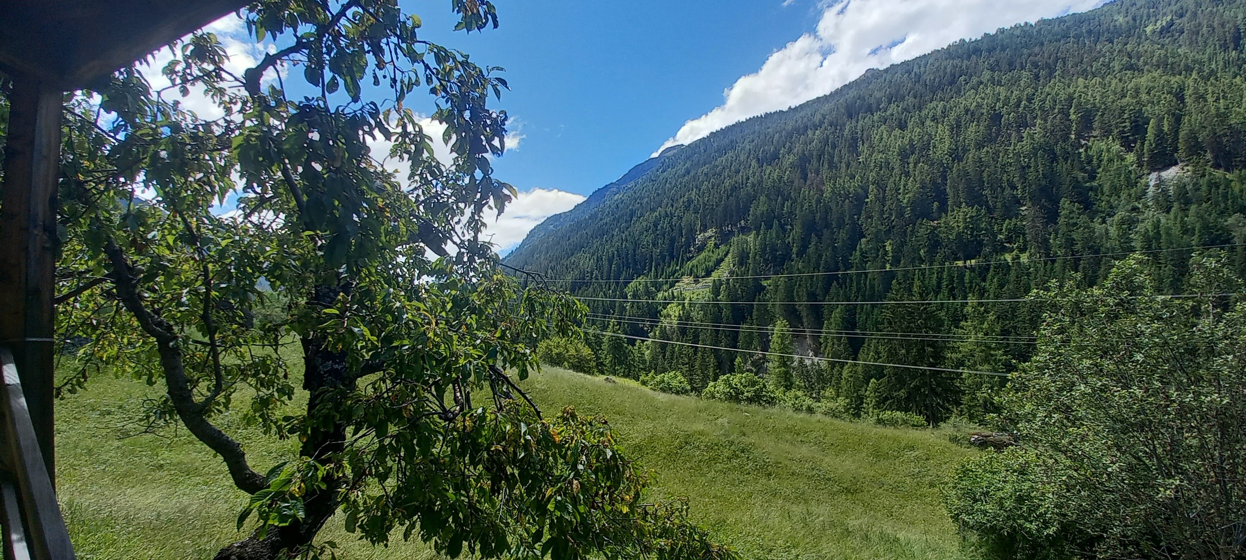 Vue dégagée  Vue dégagée