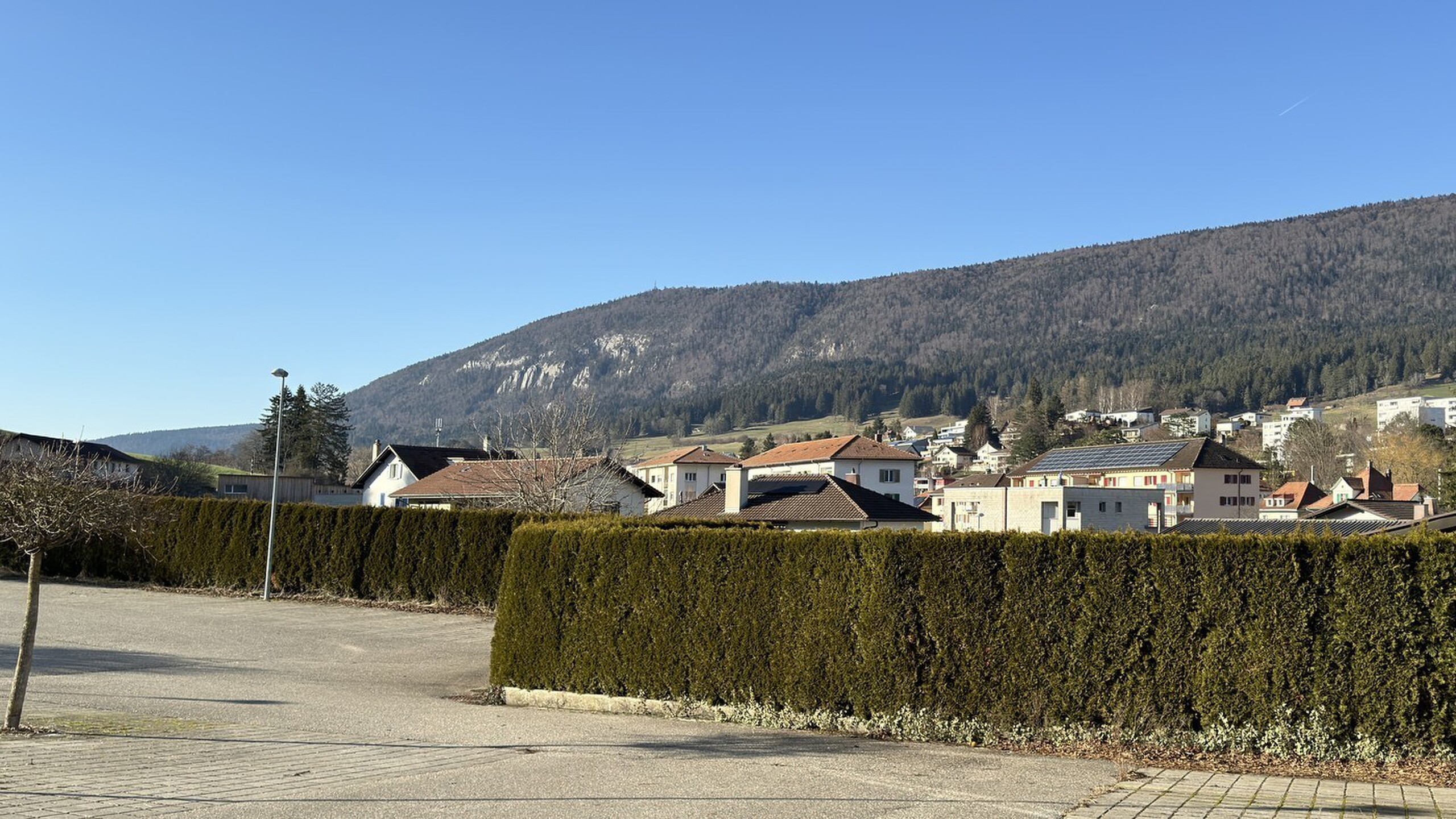 Photo 12