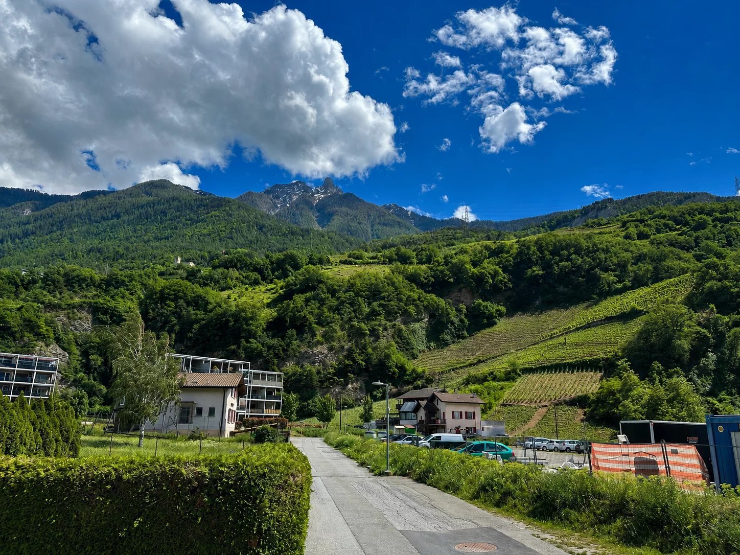 Foto 4