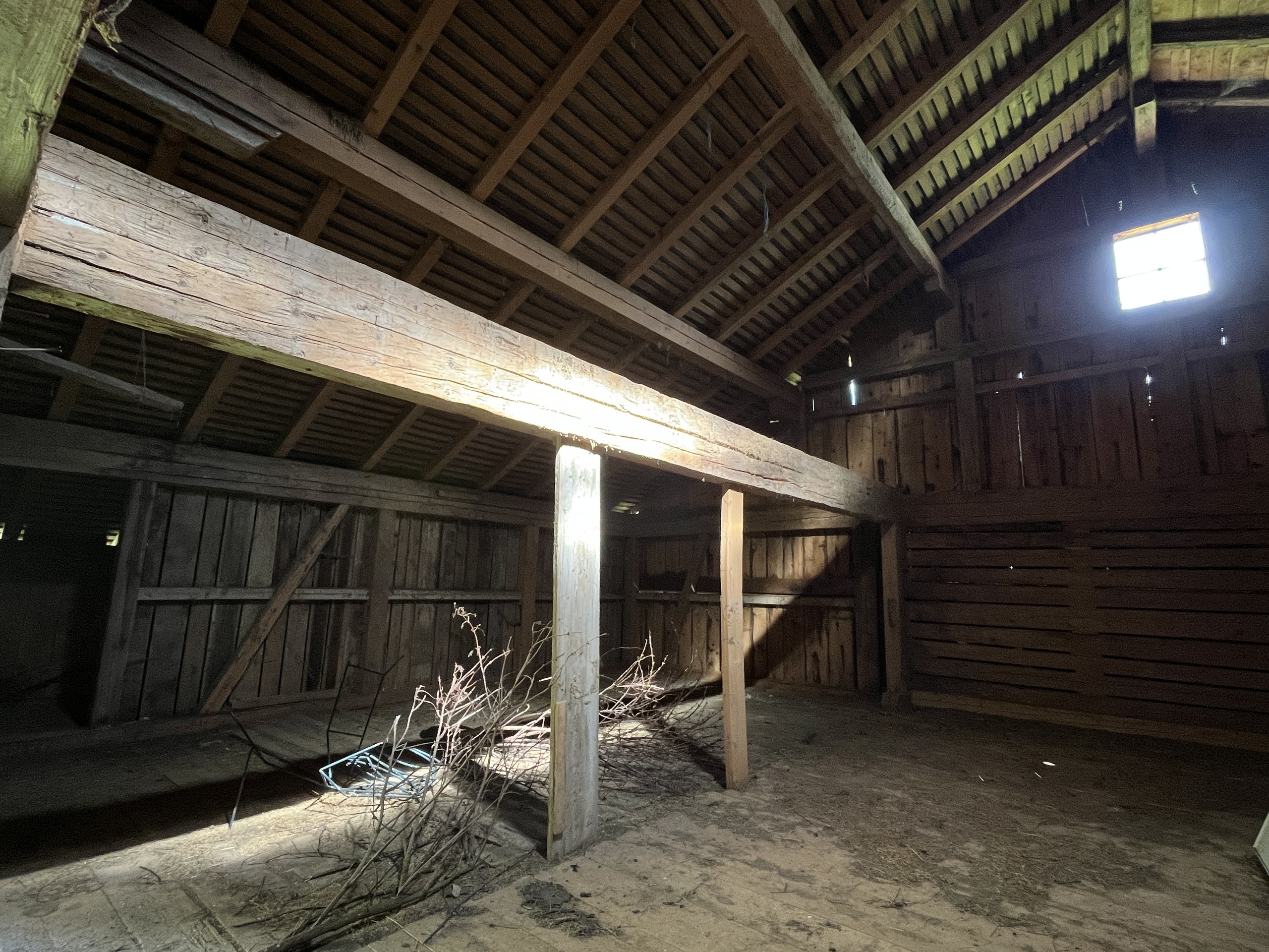 Photo 16