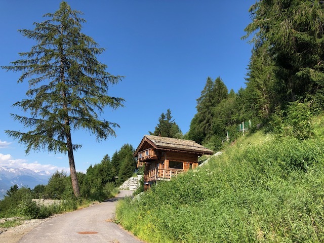 Foto 10
