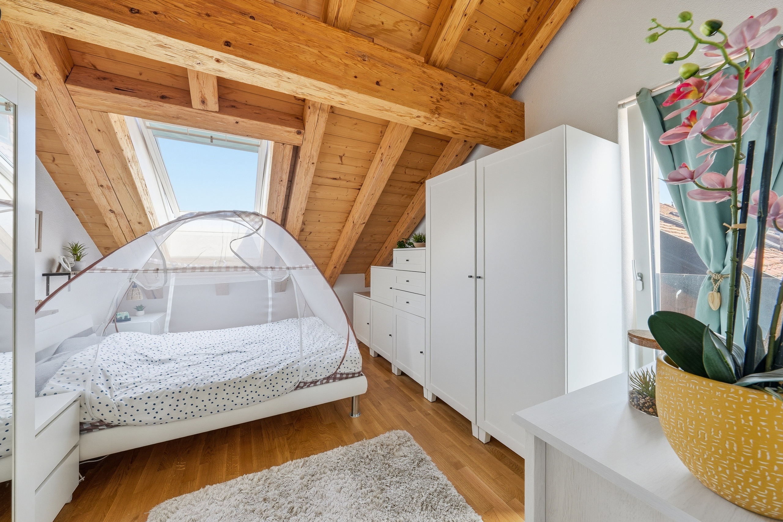 Interior view 9