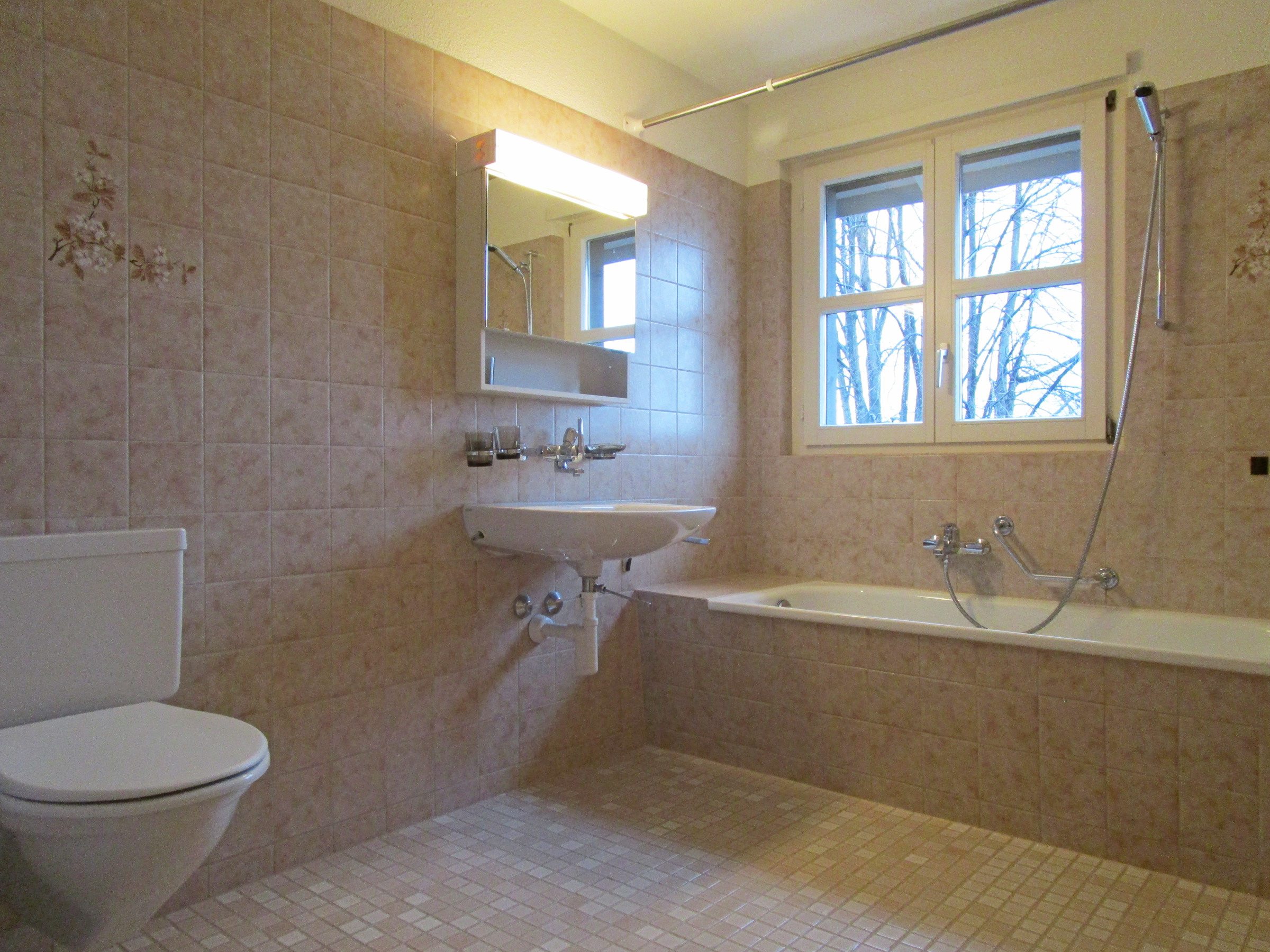 Picture 5