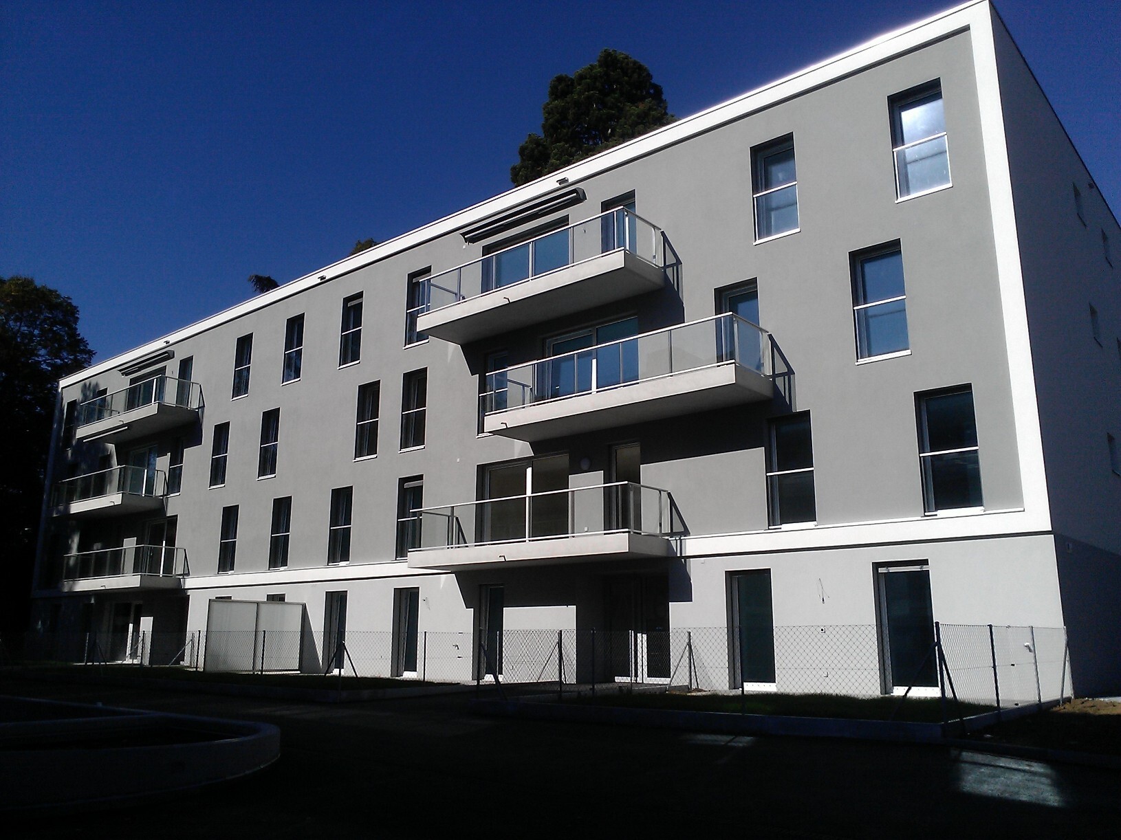 Immagine di copertina