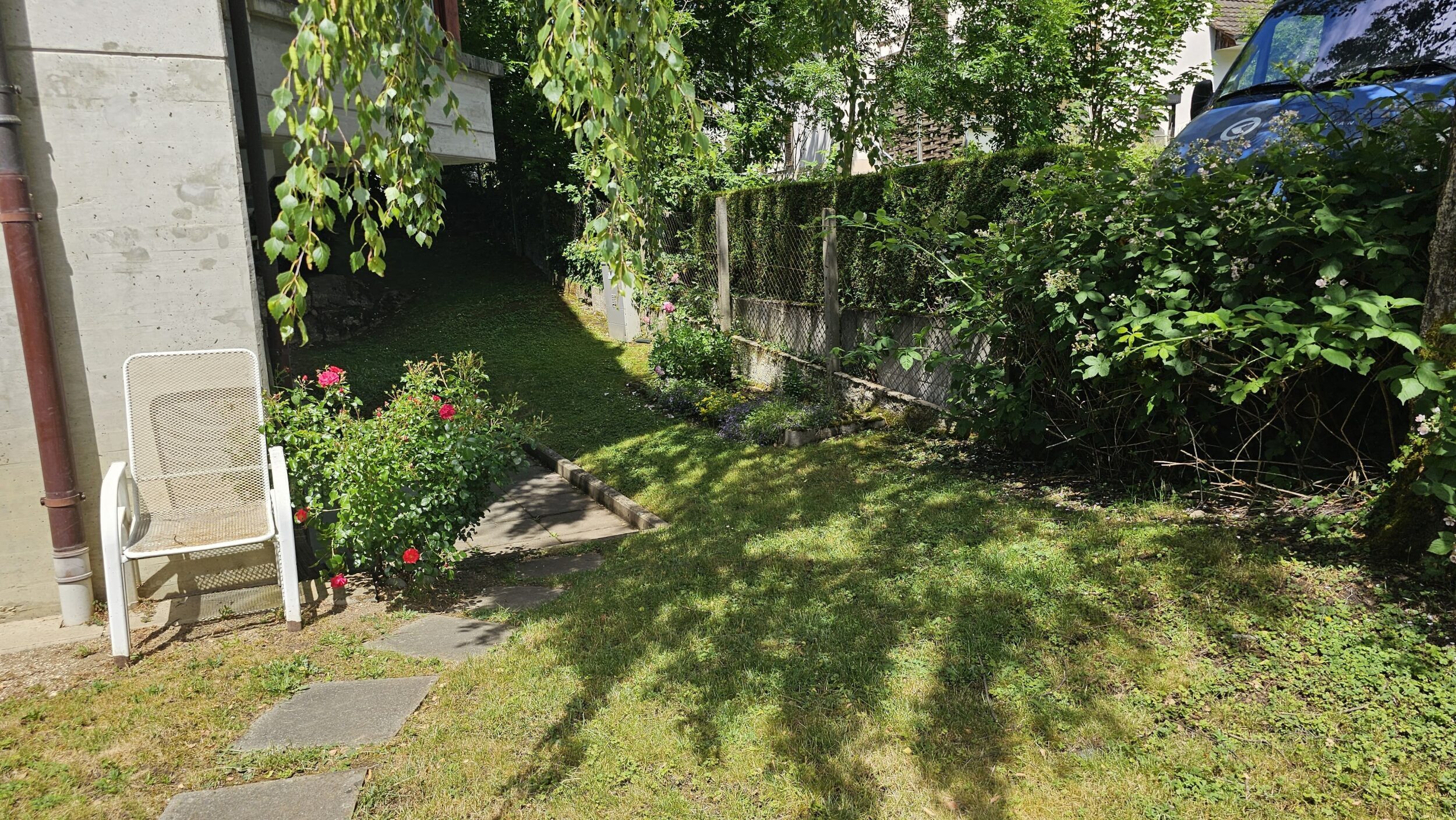 Picture 9