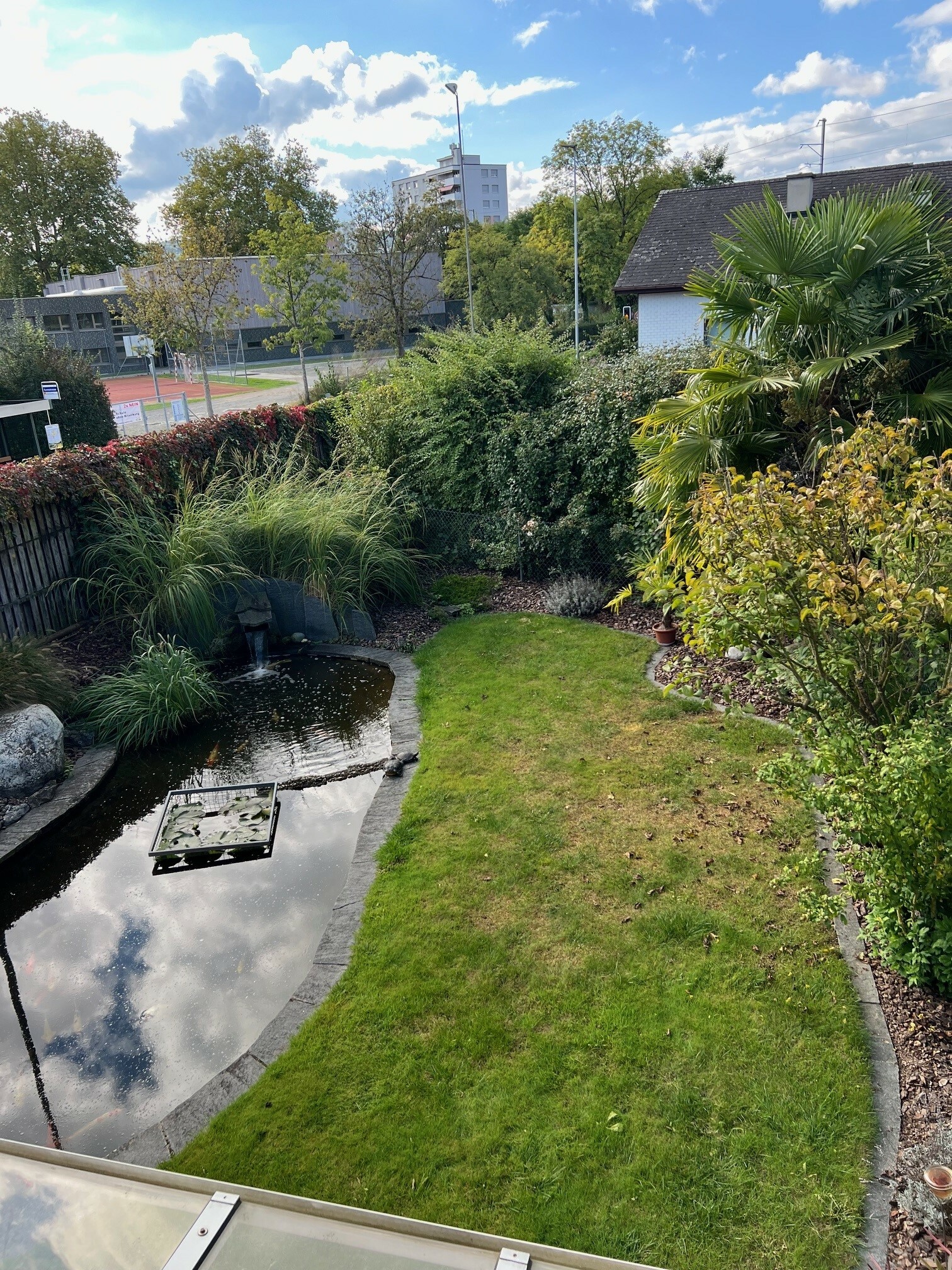 Foto 15