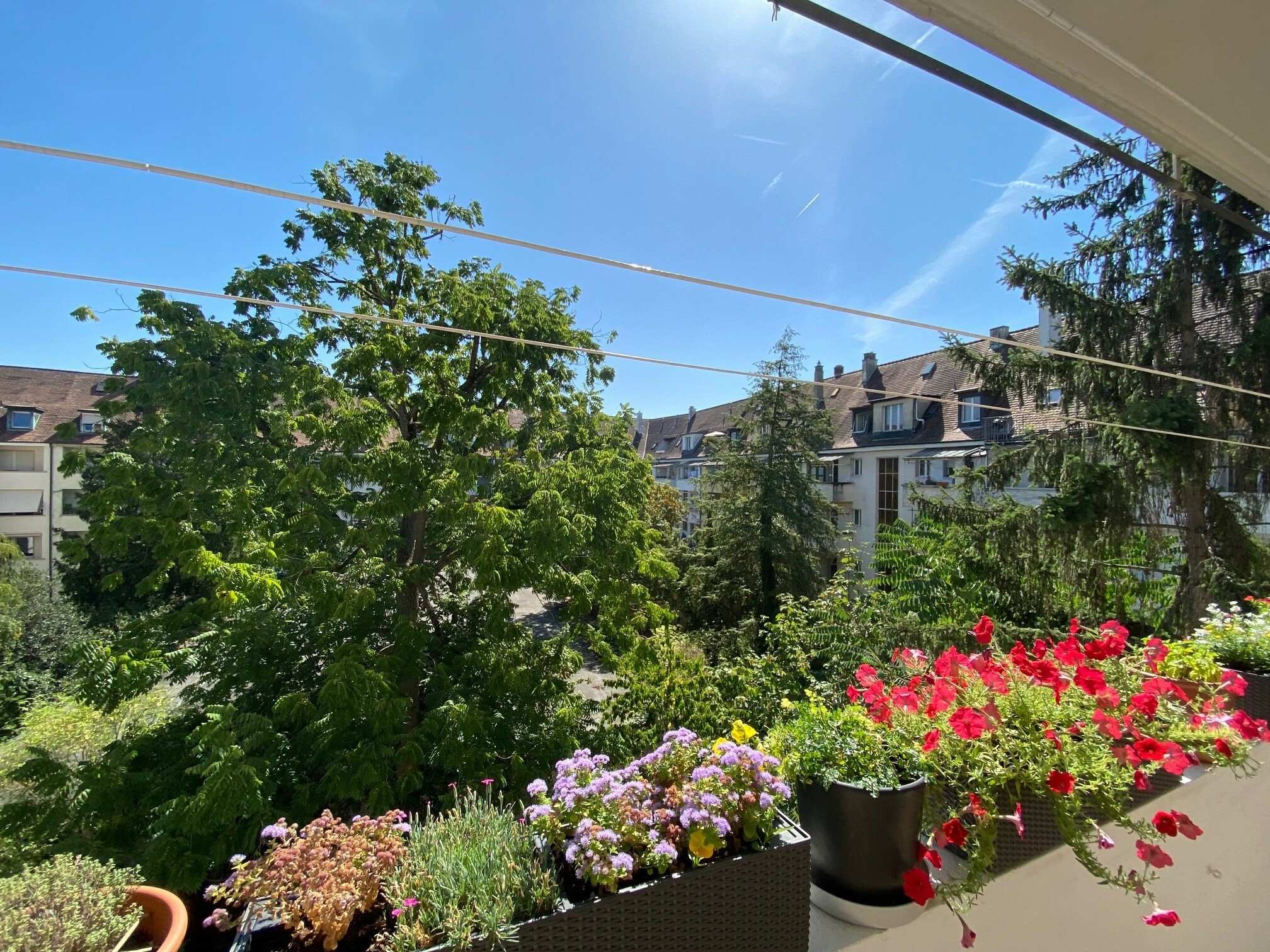 Balkon Ost