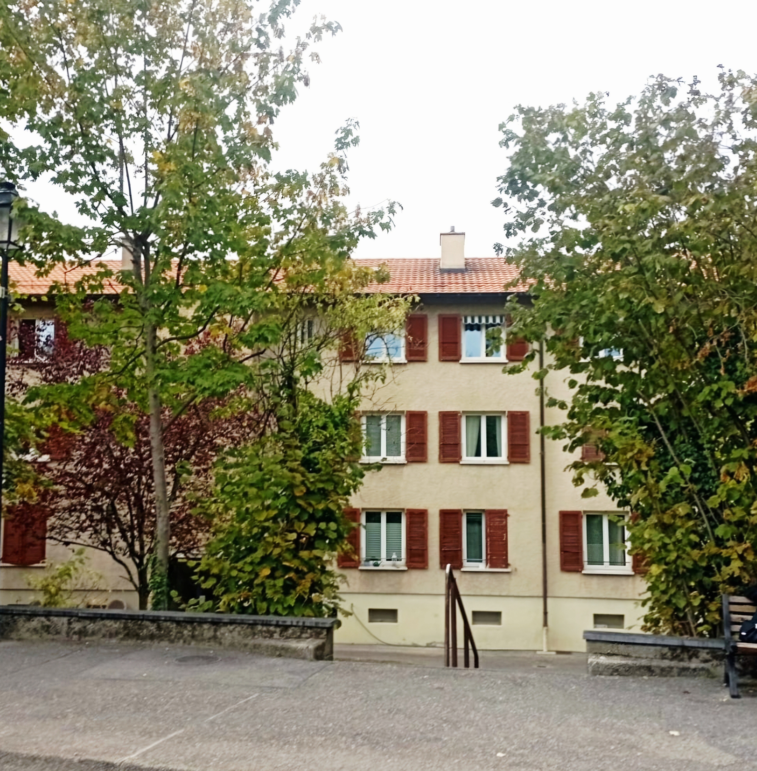Firstview