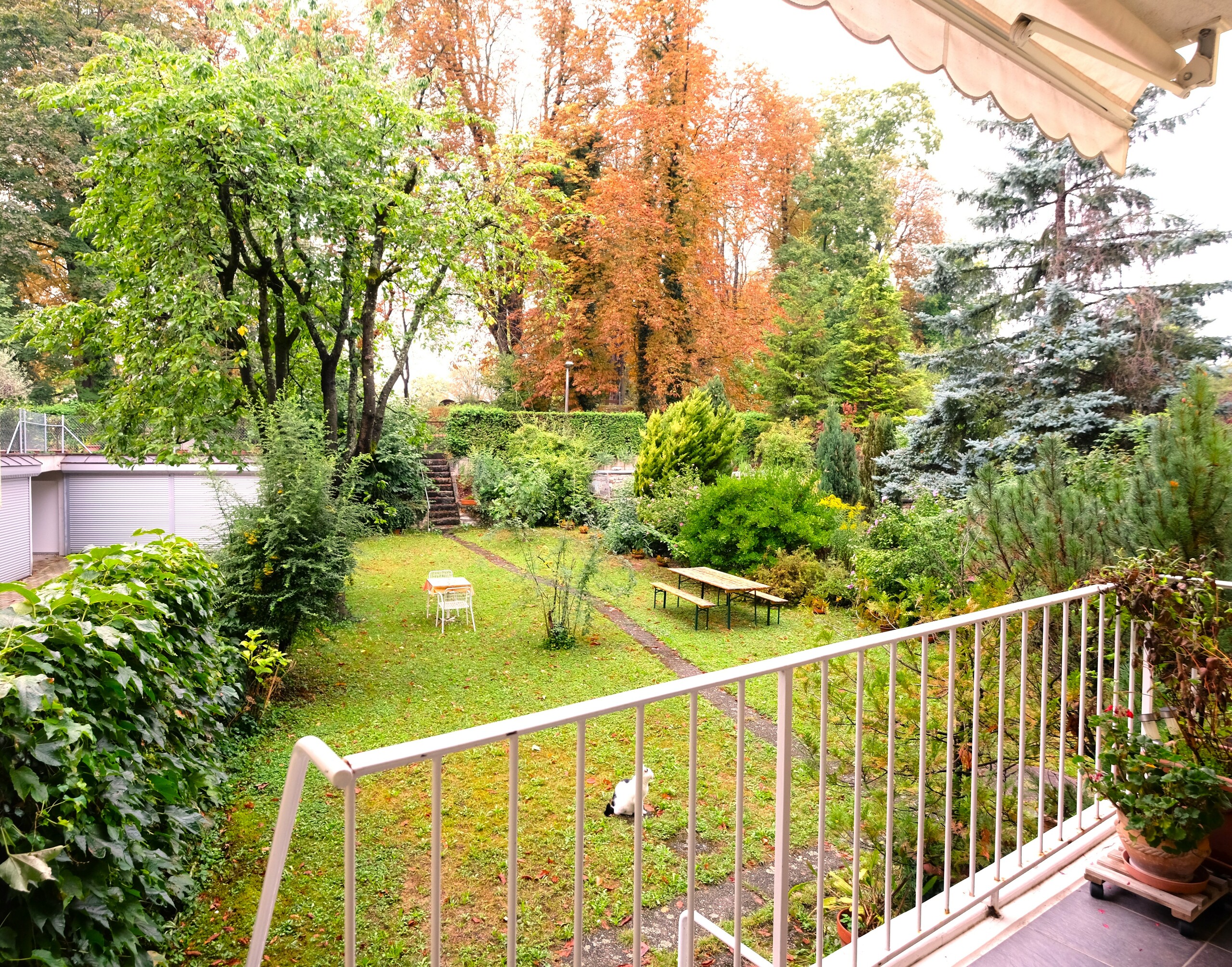 Garten mit Ausgang zum Park Garten mit Ausgang zum Park