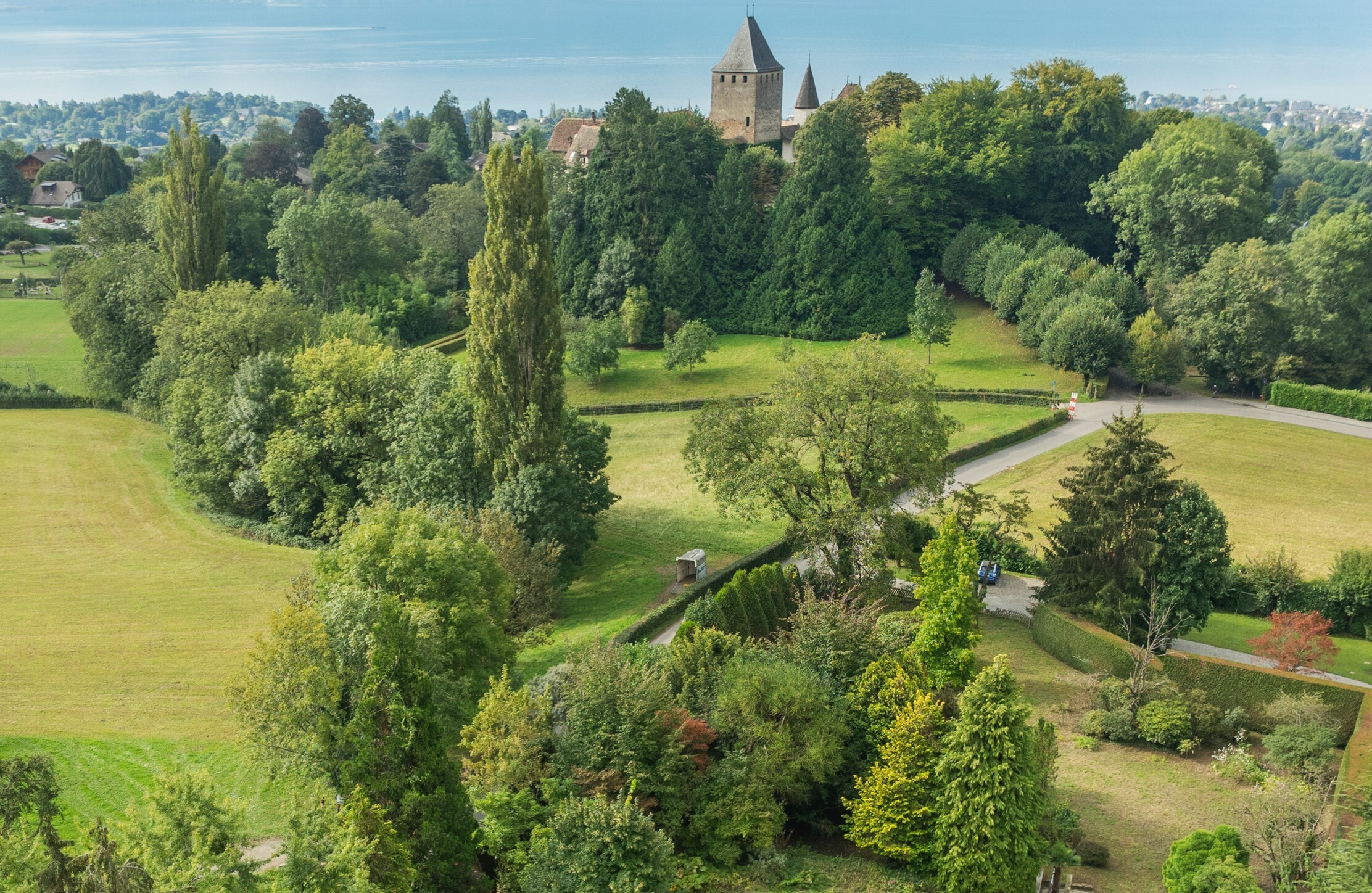 Immagine di copertina