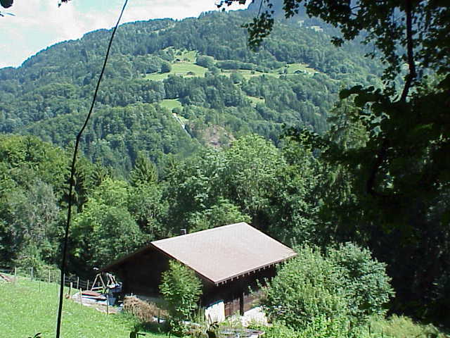 Photo 13