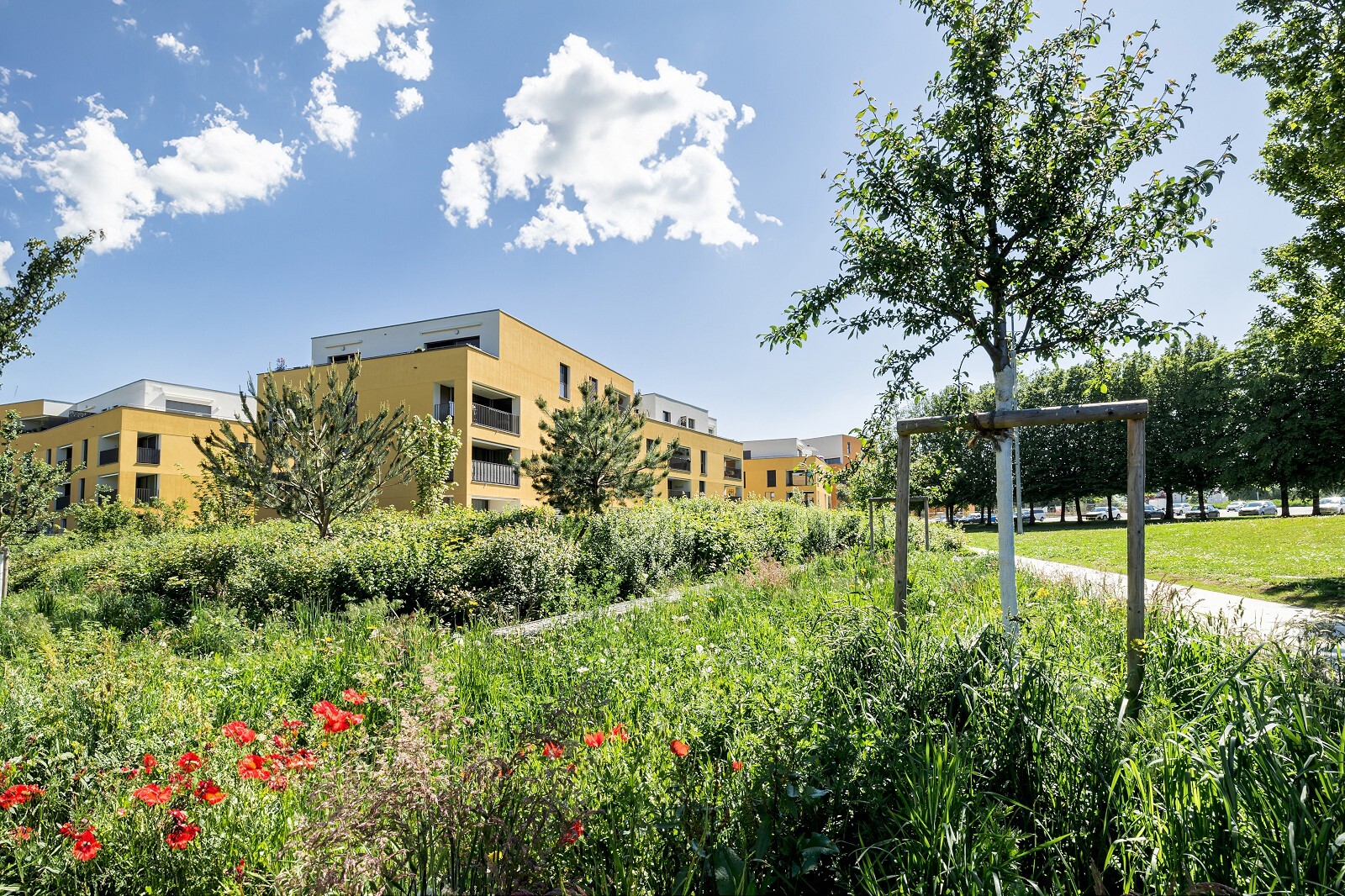 Quartier Champ de Lune