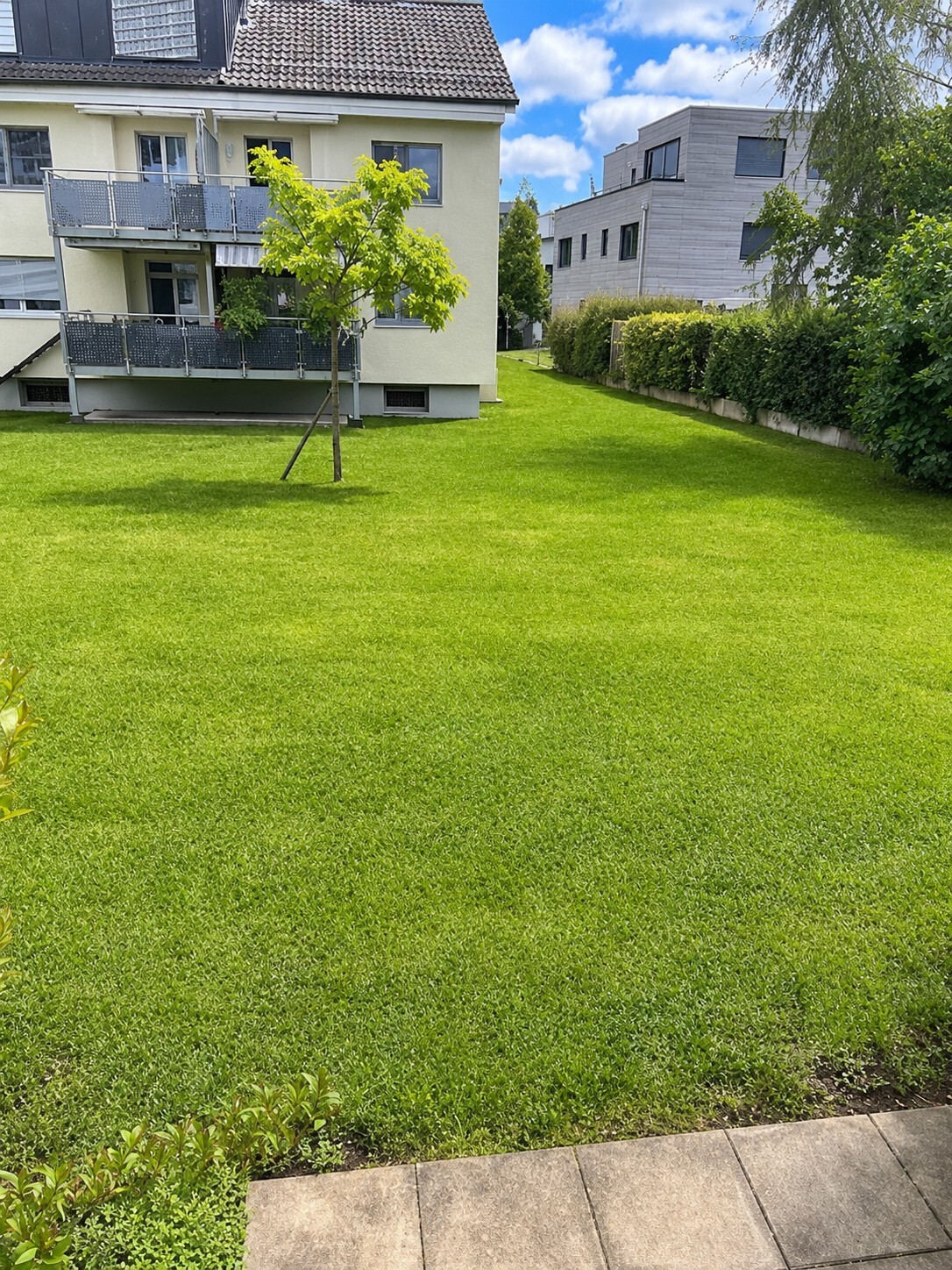 Picture 10
