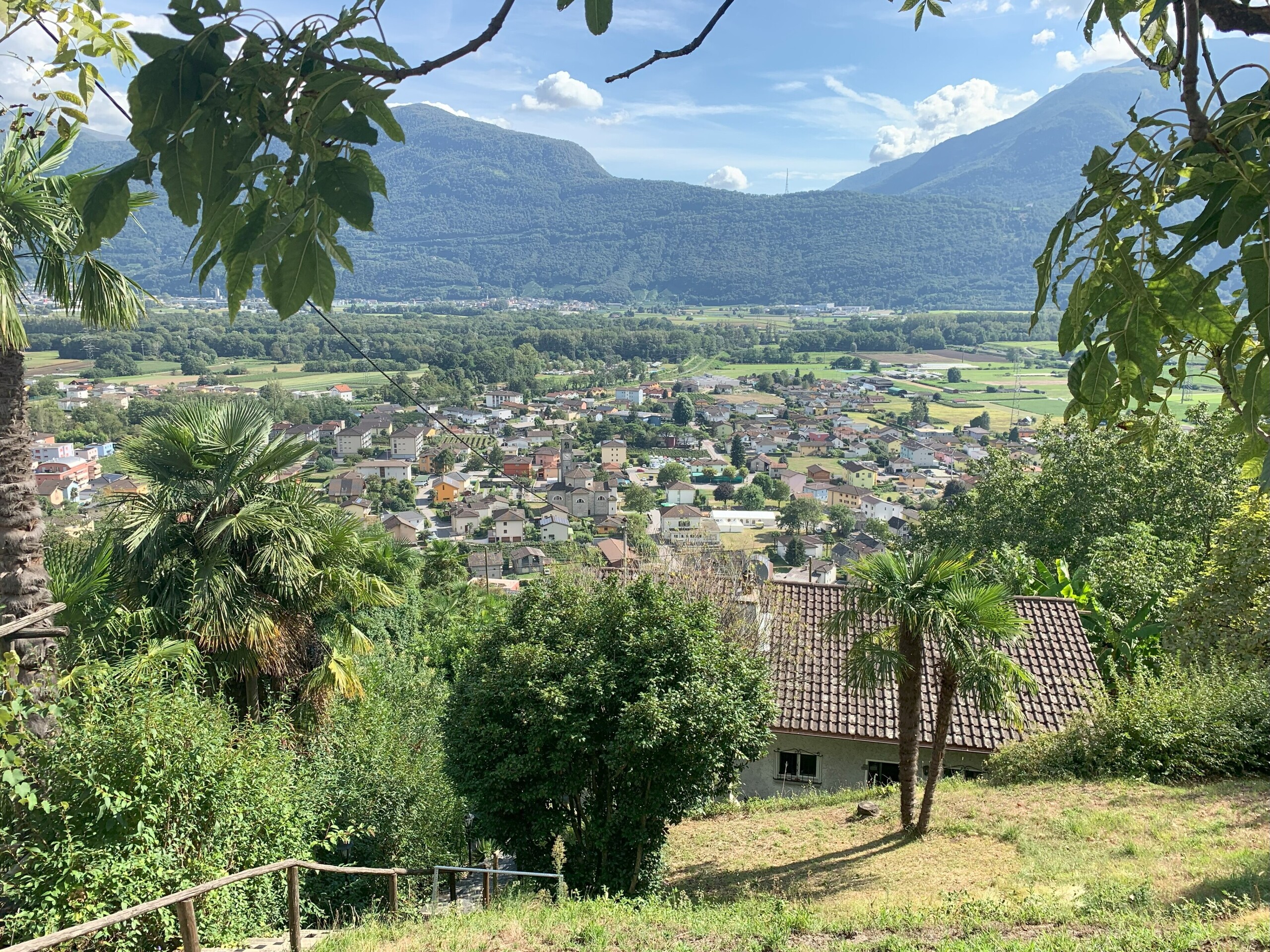 Immagine di copertina