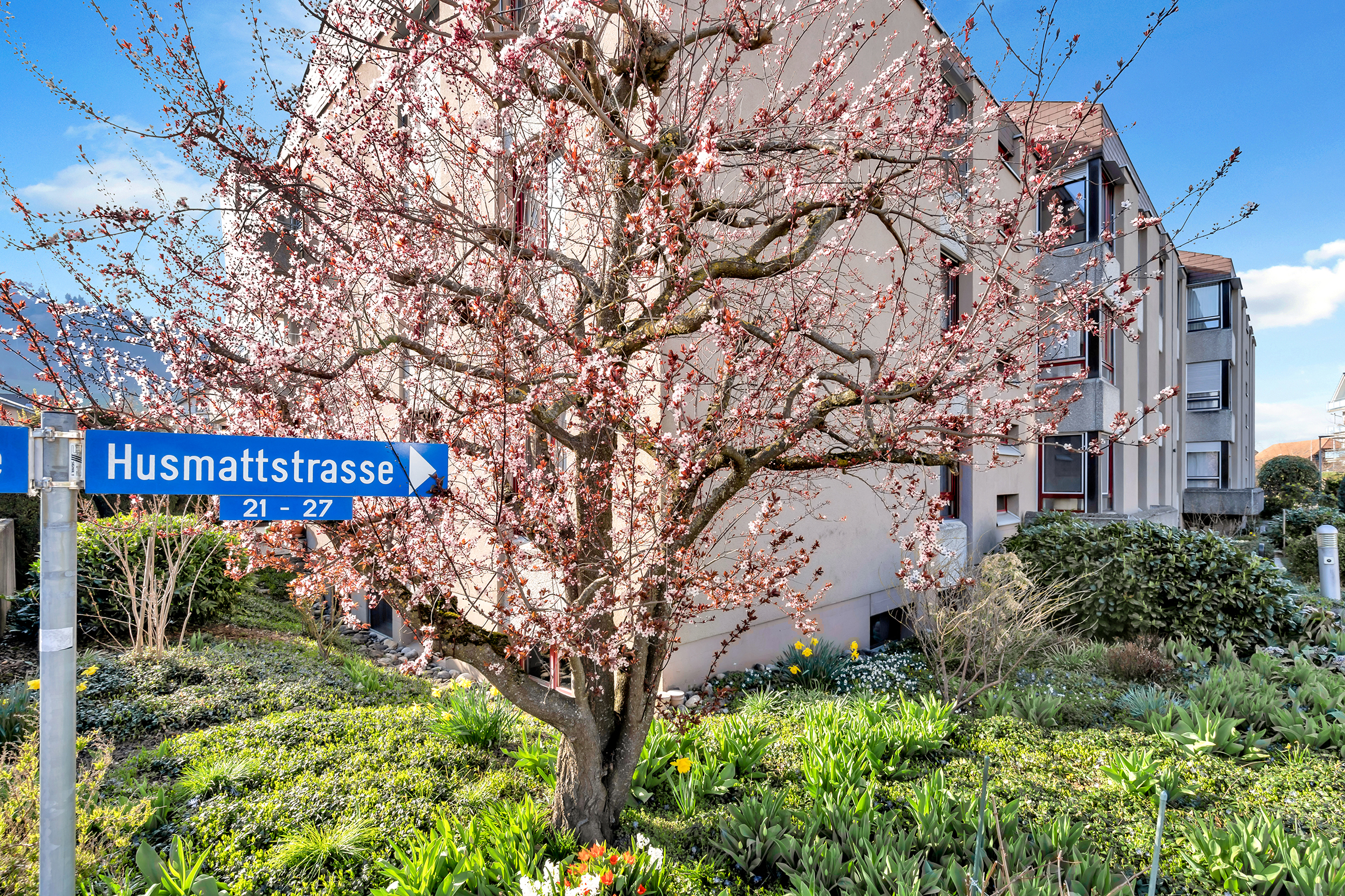 Ihr neues Zuhause in Belp?