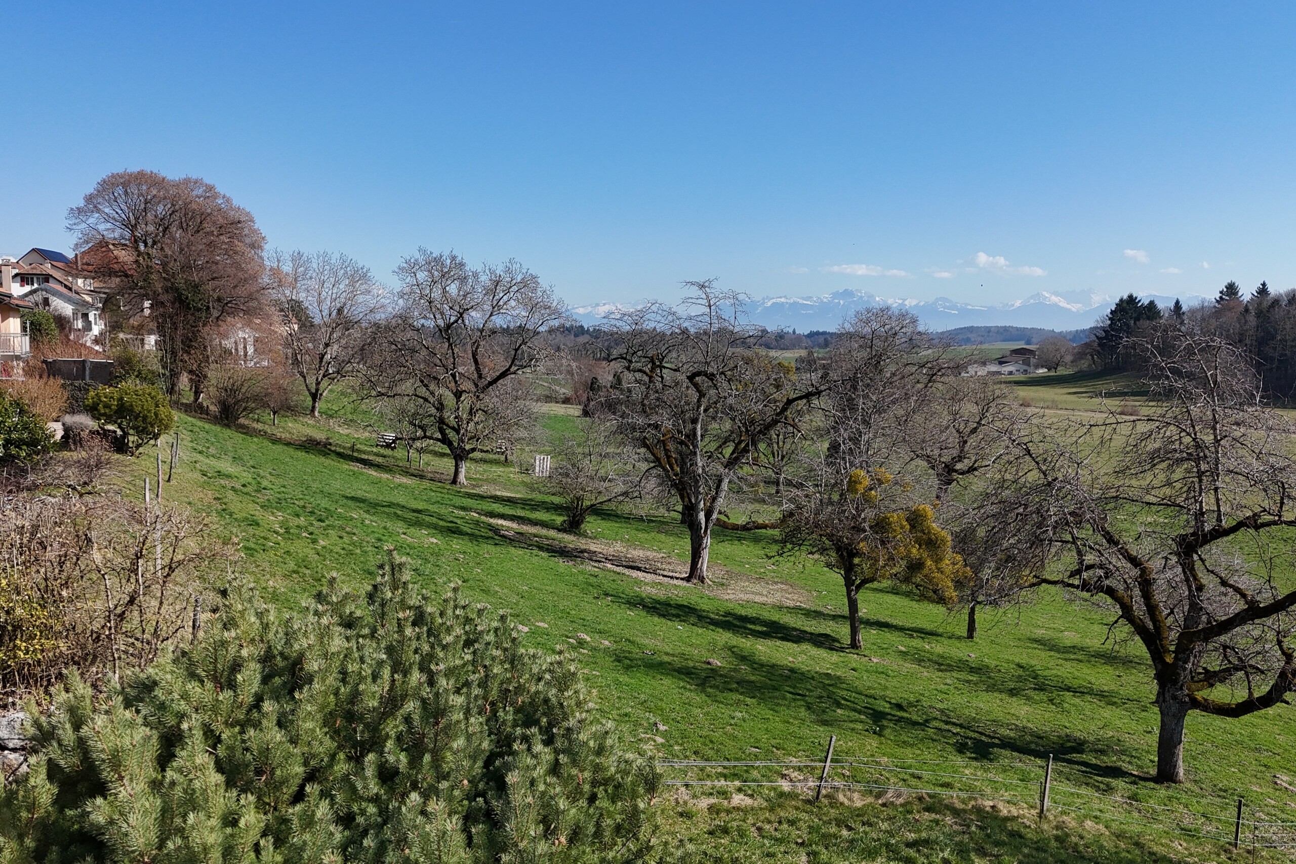 Aussenansicht 3
