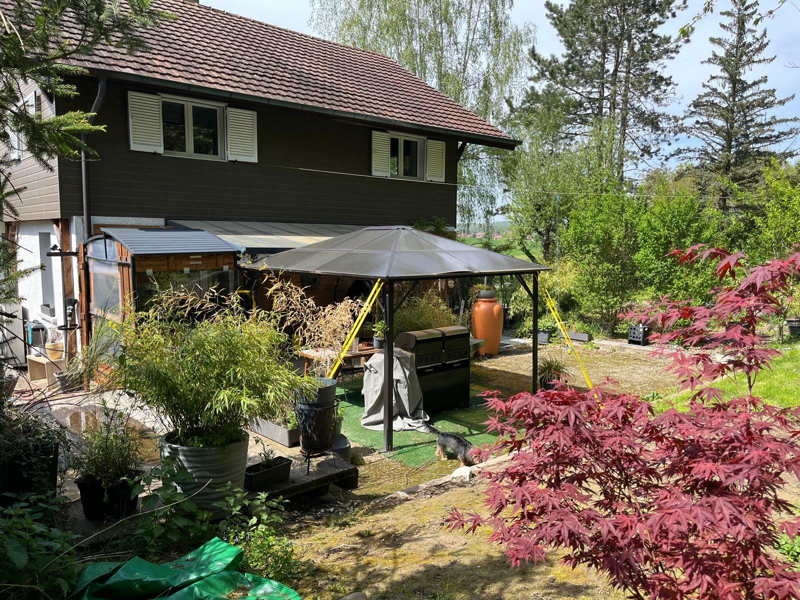 l'arrière-cour d'une maison avec un jardin et des arbres