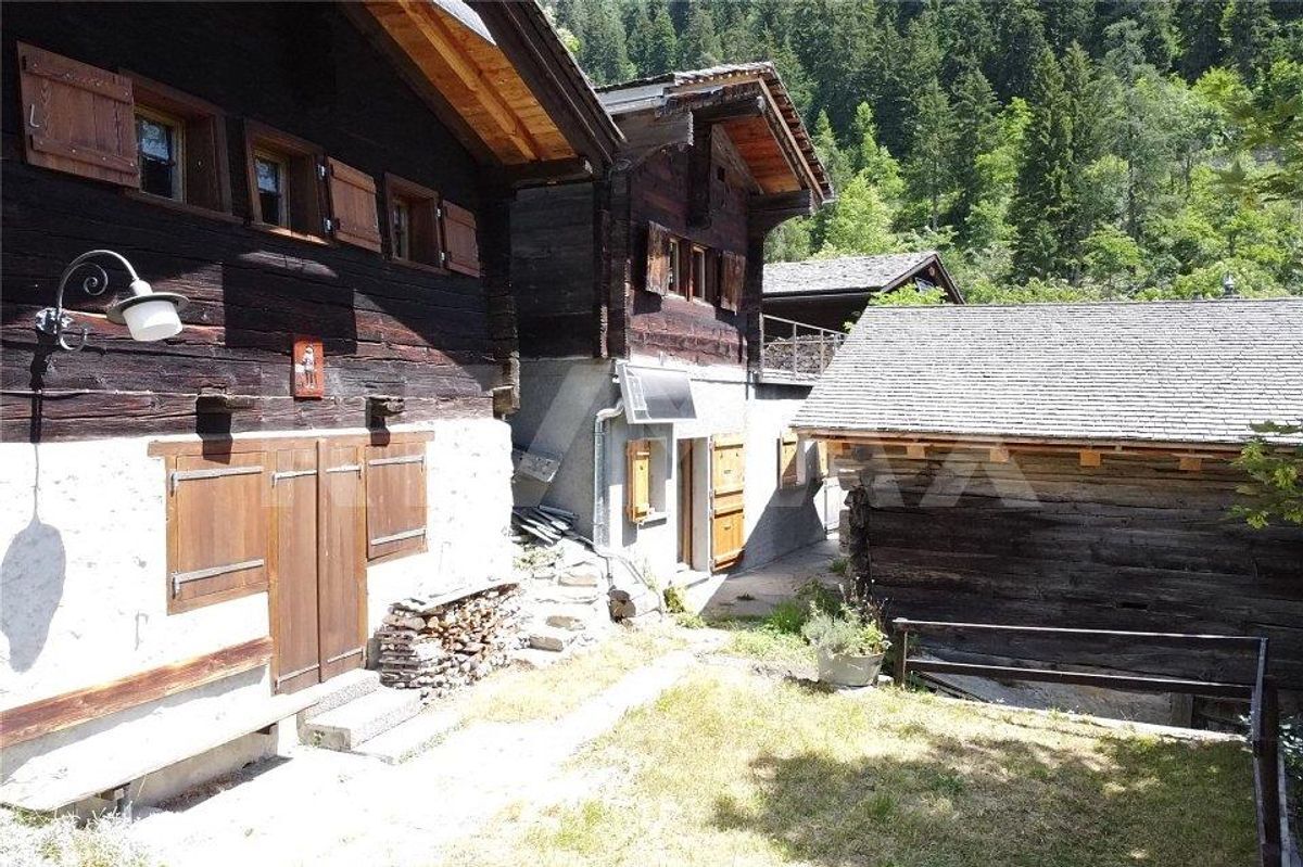 Foto 1