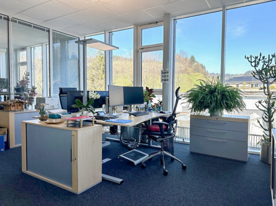 Premier coup d'oeil 1