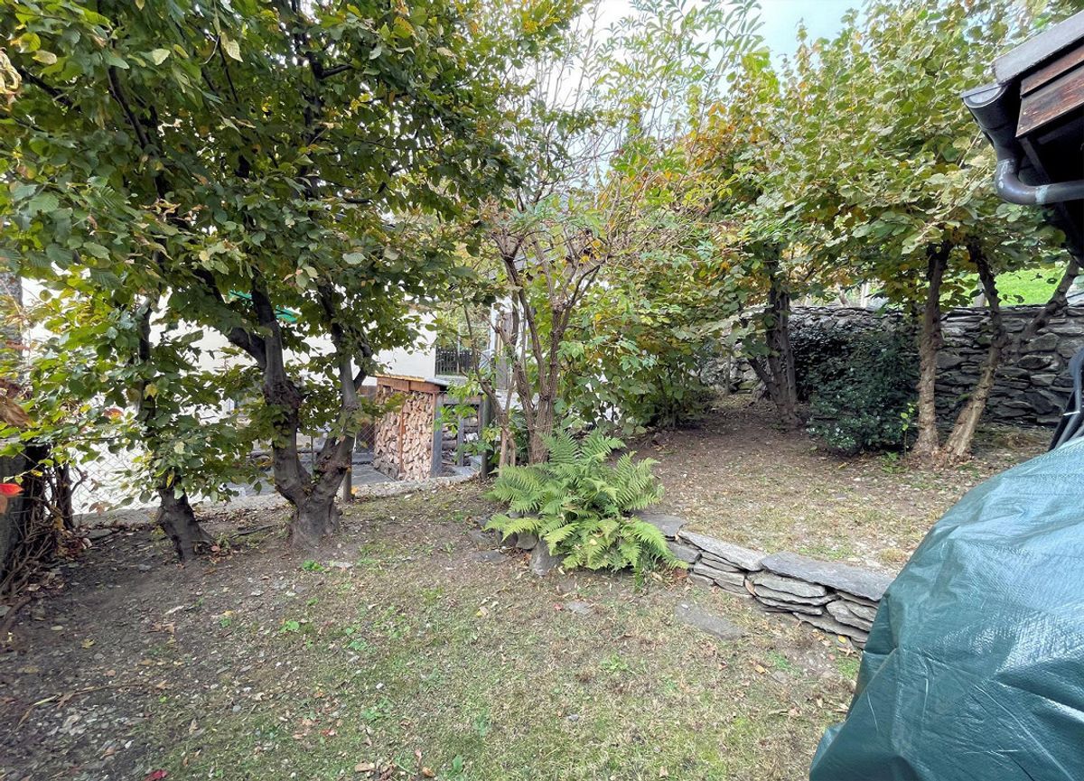 Picture 13